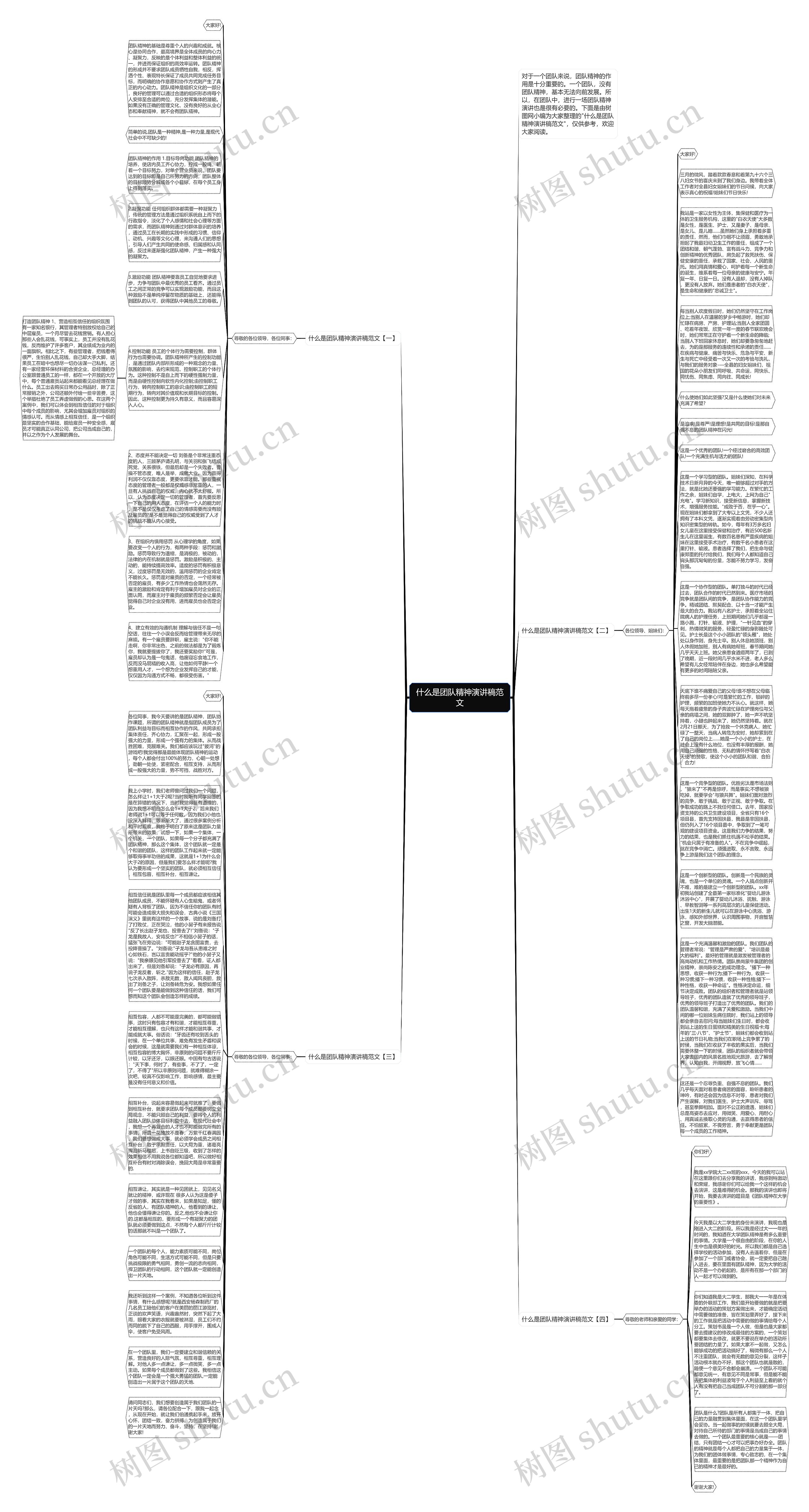 什么是团队精神演讲稿范文思维导图