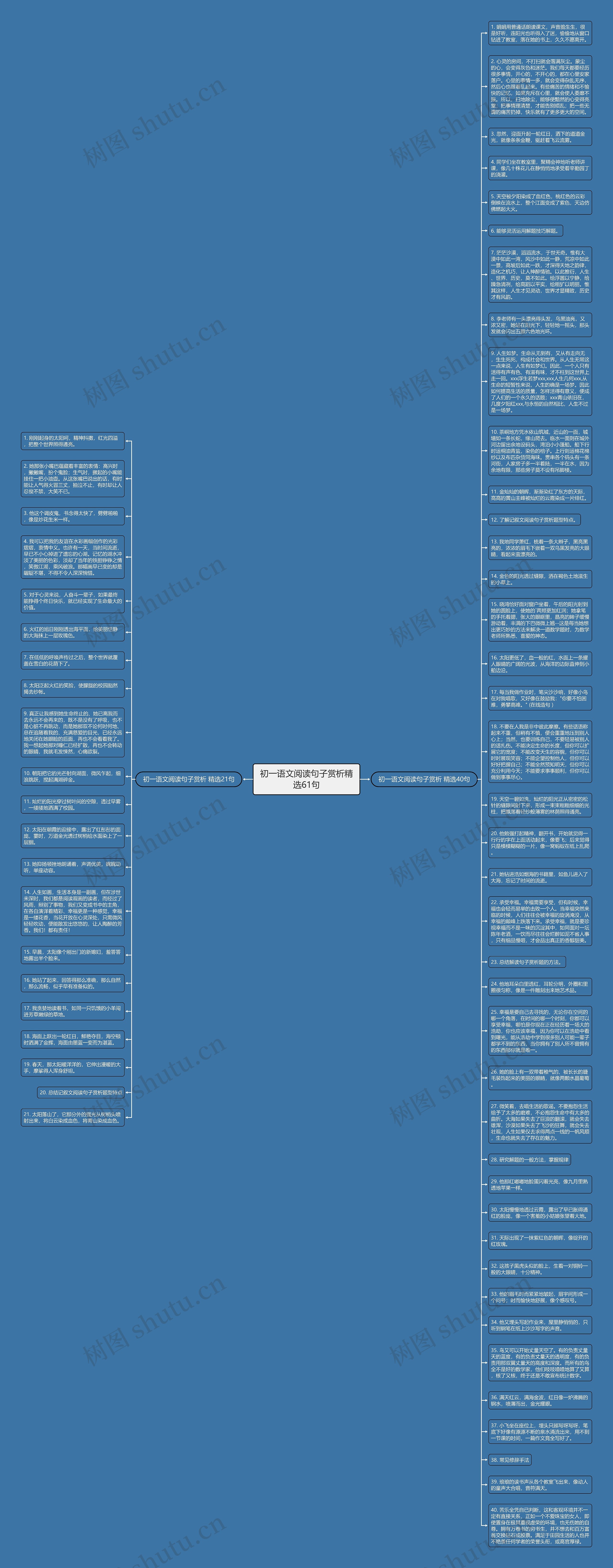 初一语文阅读句子赏析精选61句思维导图