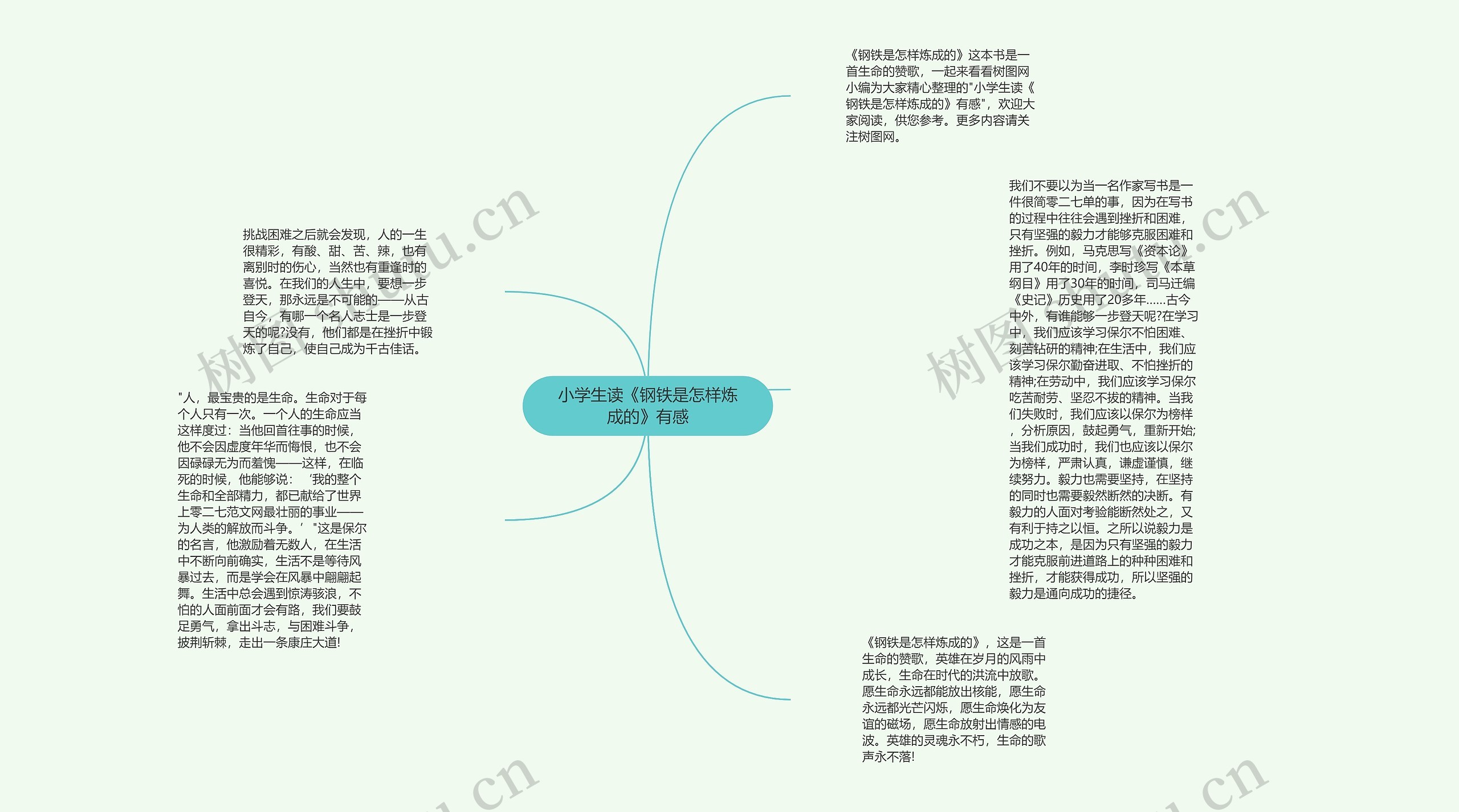 小学生读《钢铁是怎样炼成的》有感思维导图