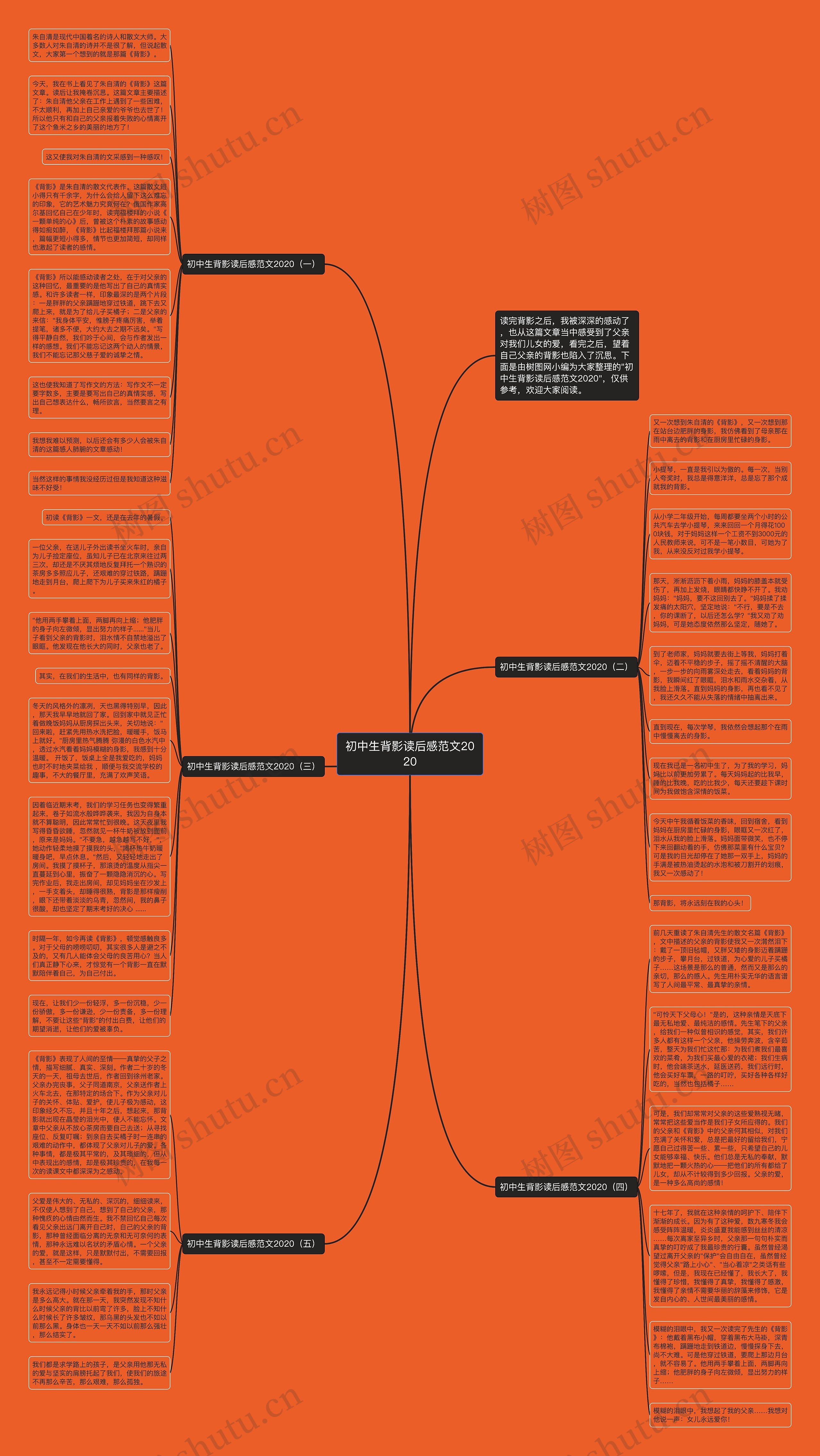 初中生背影读后感范文2020思维导图
