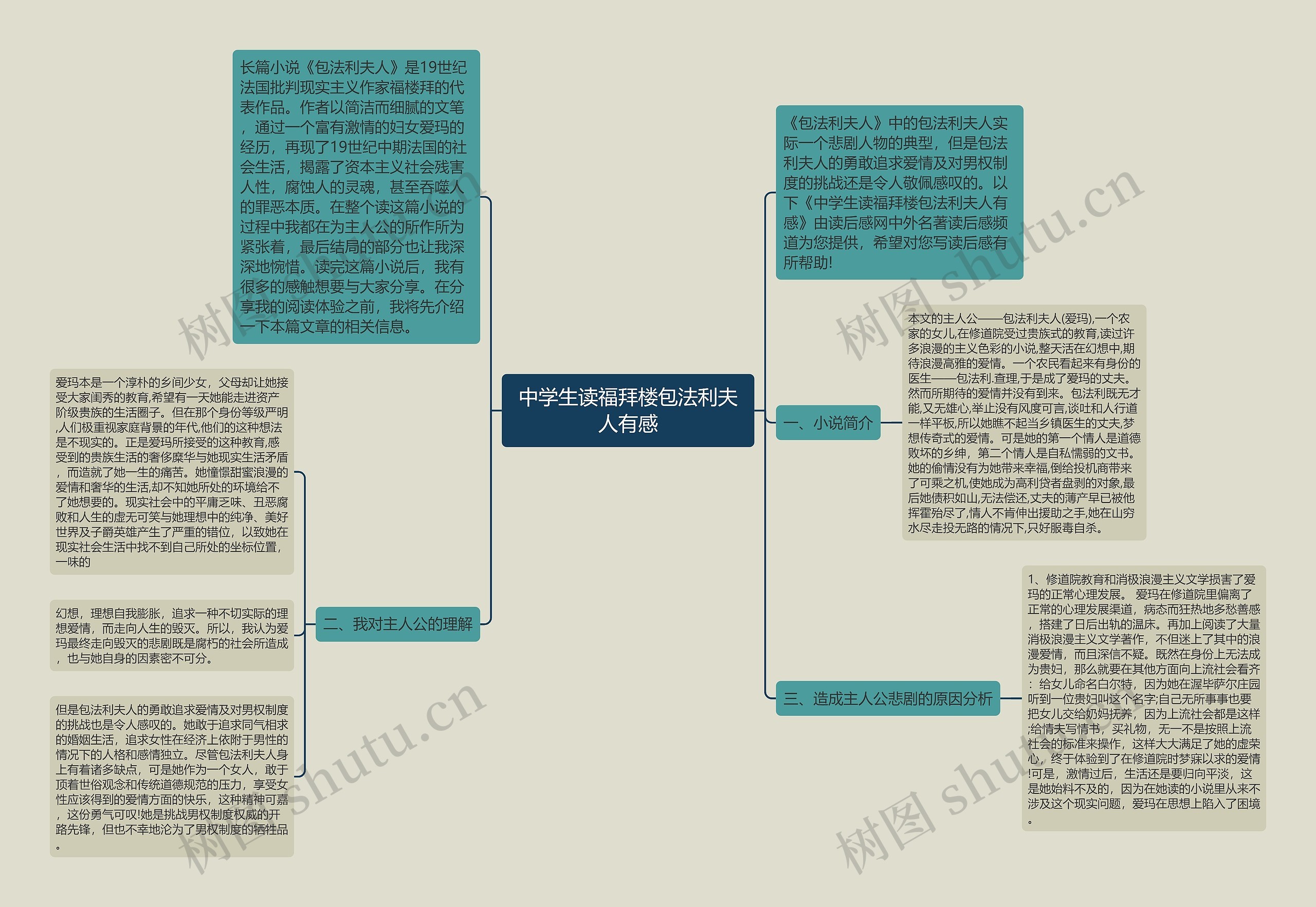 中学生读福拜楼包法利夫人有感思维导图