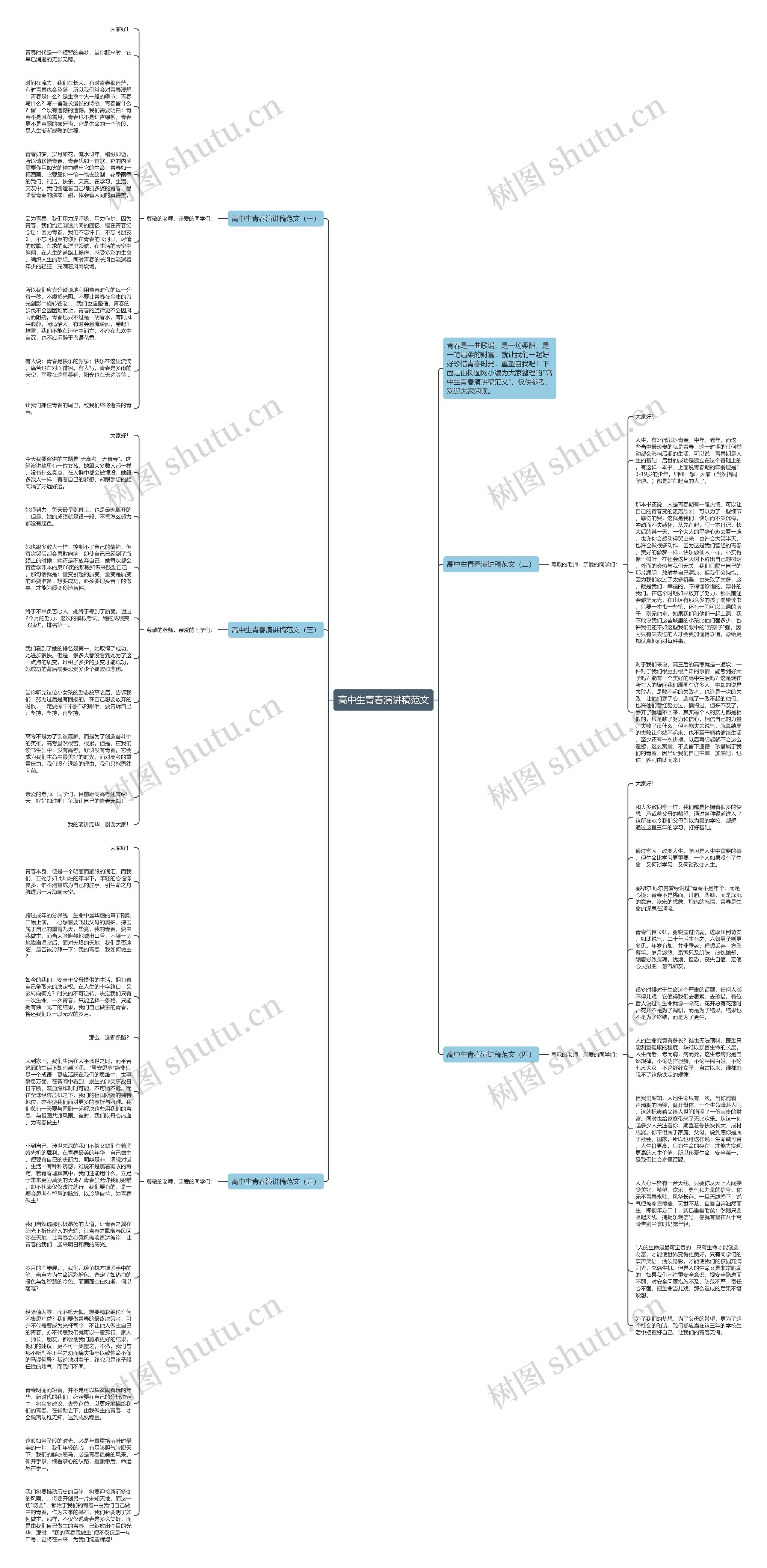 高中生青春演讲稿范文思维导图