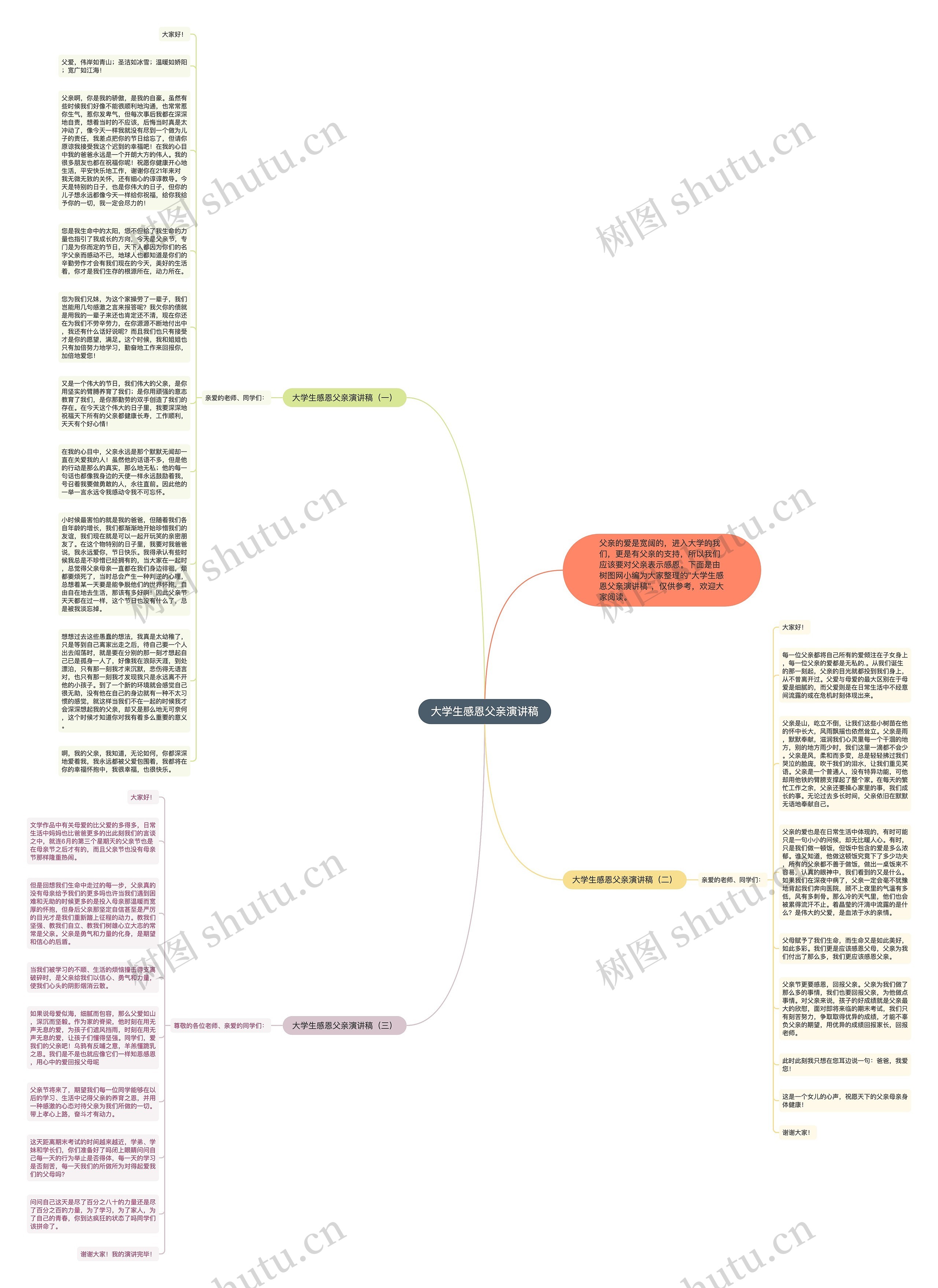 大学生感恩父亲演讲稿思维导图