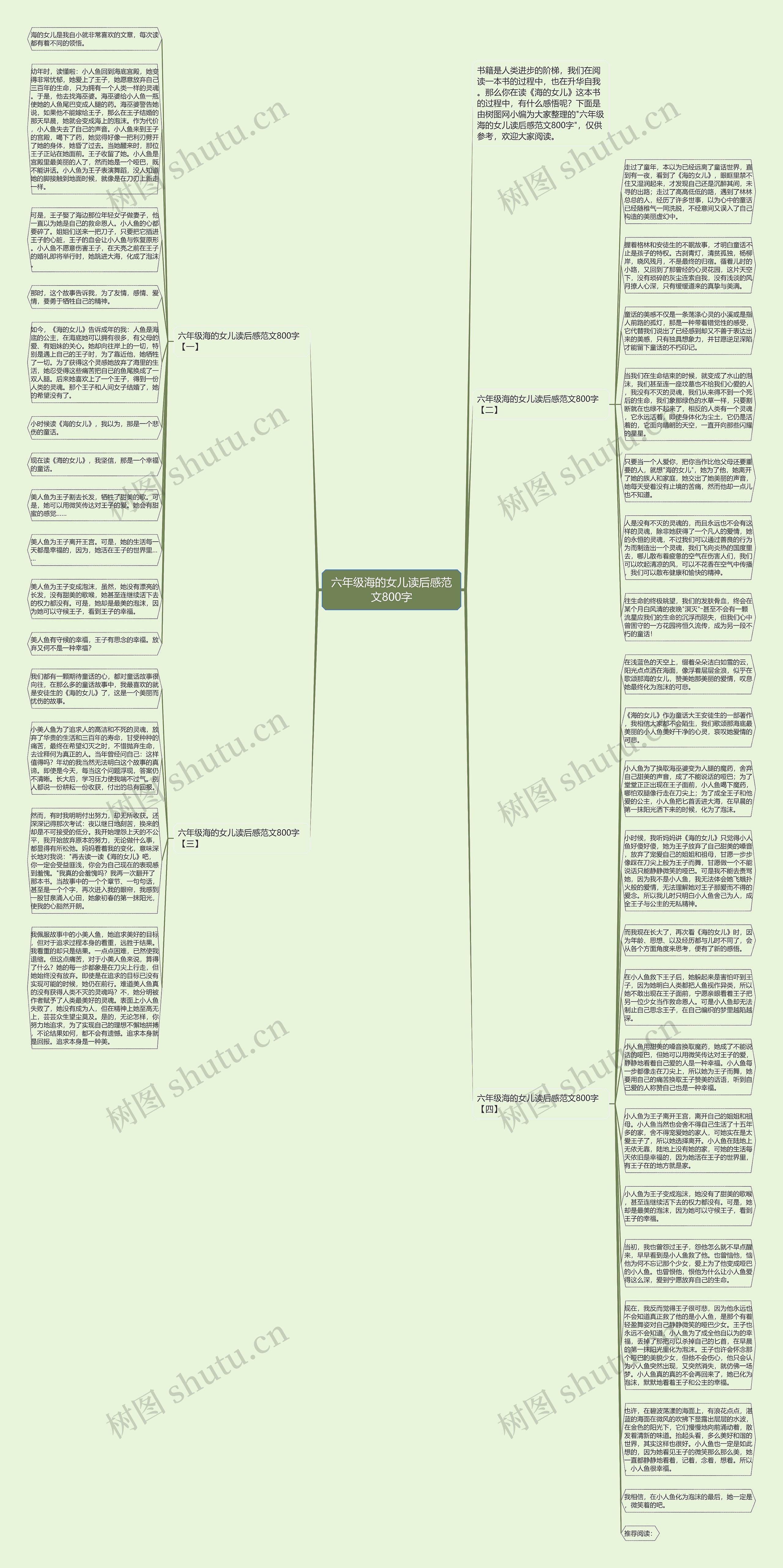 六年级海的女儿读后感范文800字思维导图