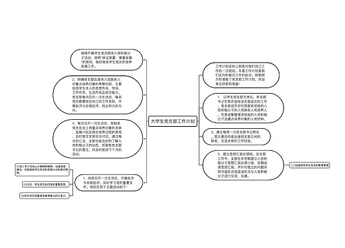 大学生党支部工作计划