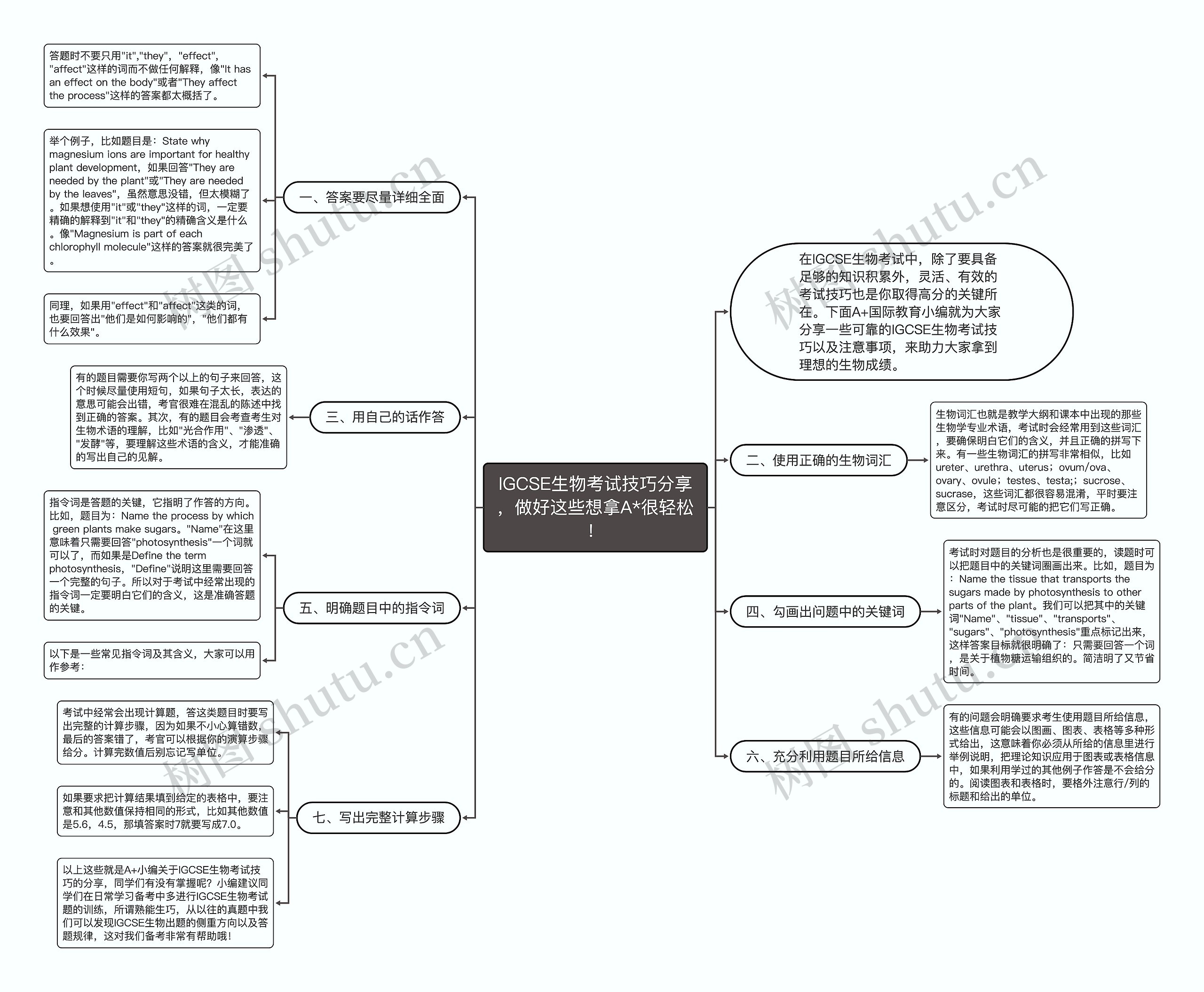 IGCSE生物考试技巧分享，做好这些想拿A*很轻松！