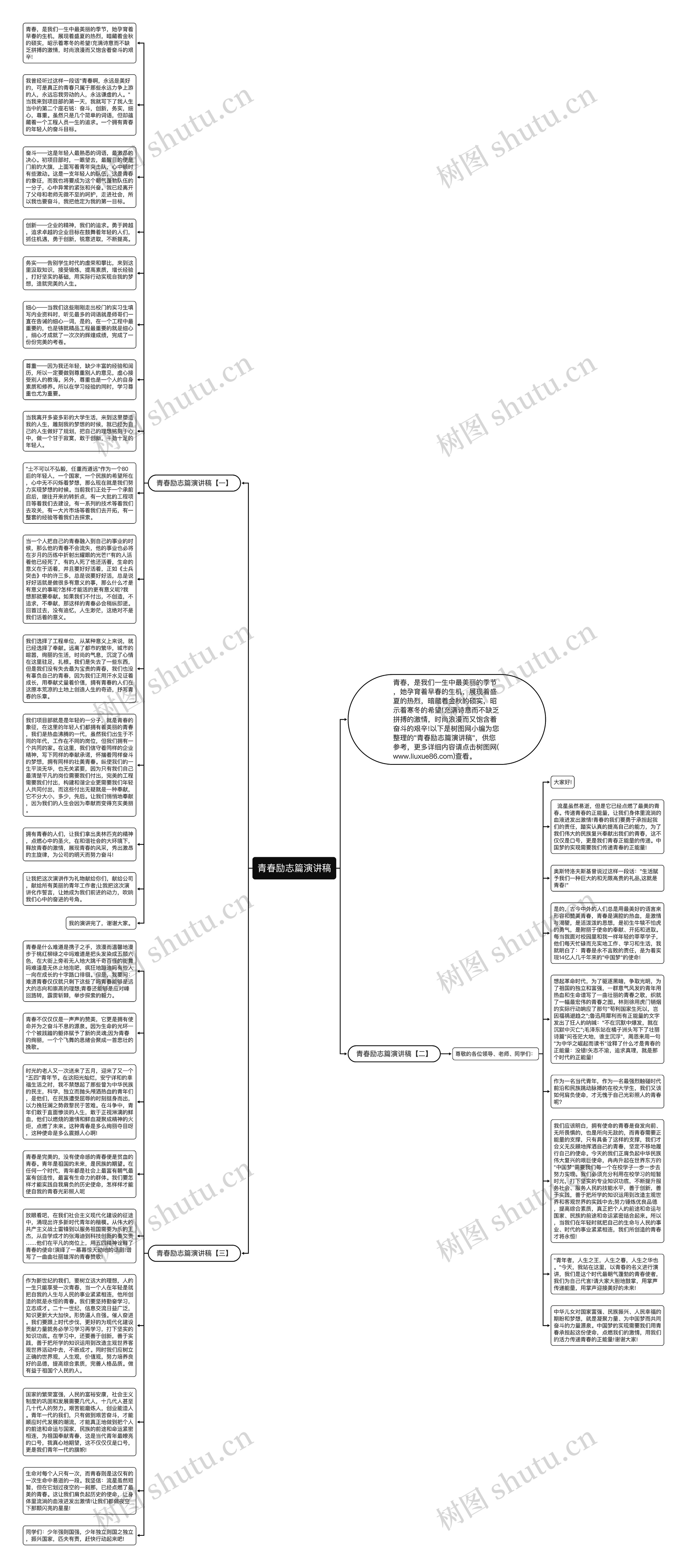 青春励志篇演讲稿思维导图