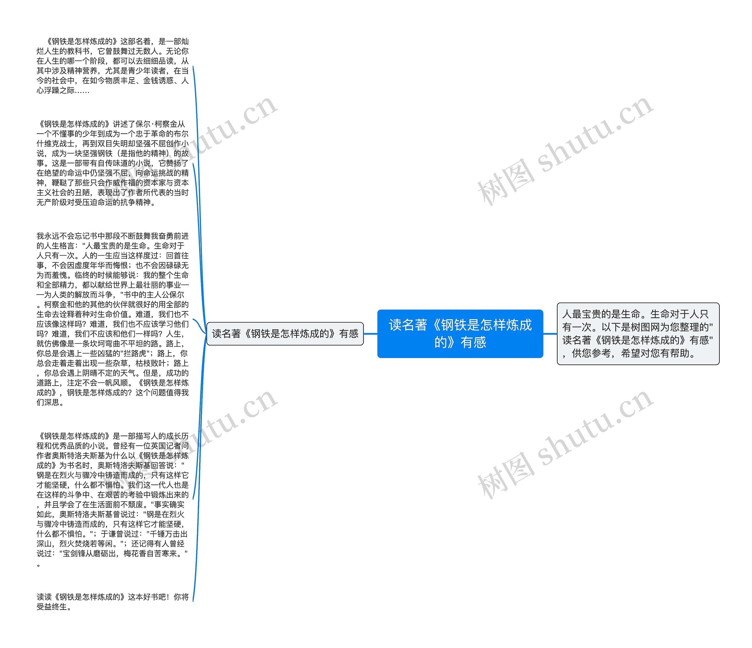 读名著《钢铁是怎样炼成的》有感