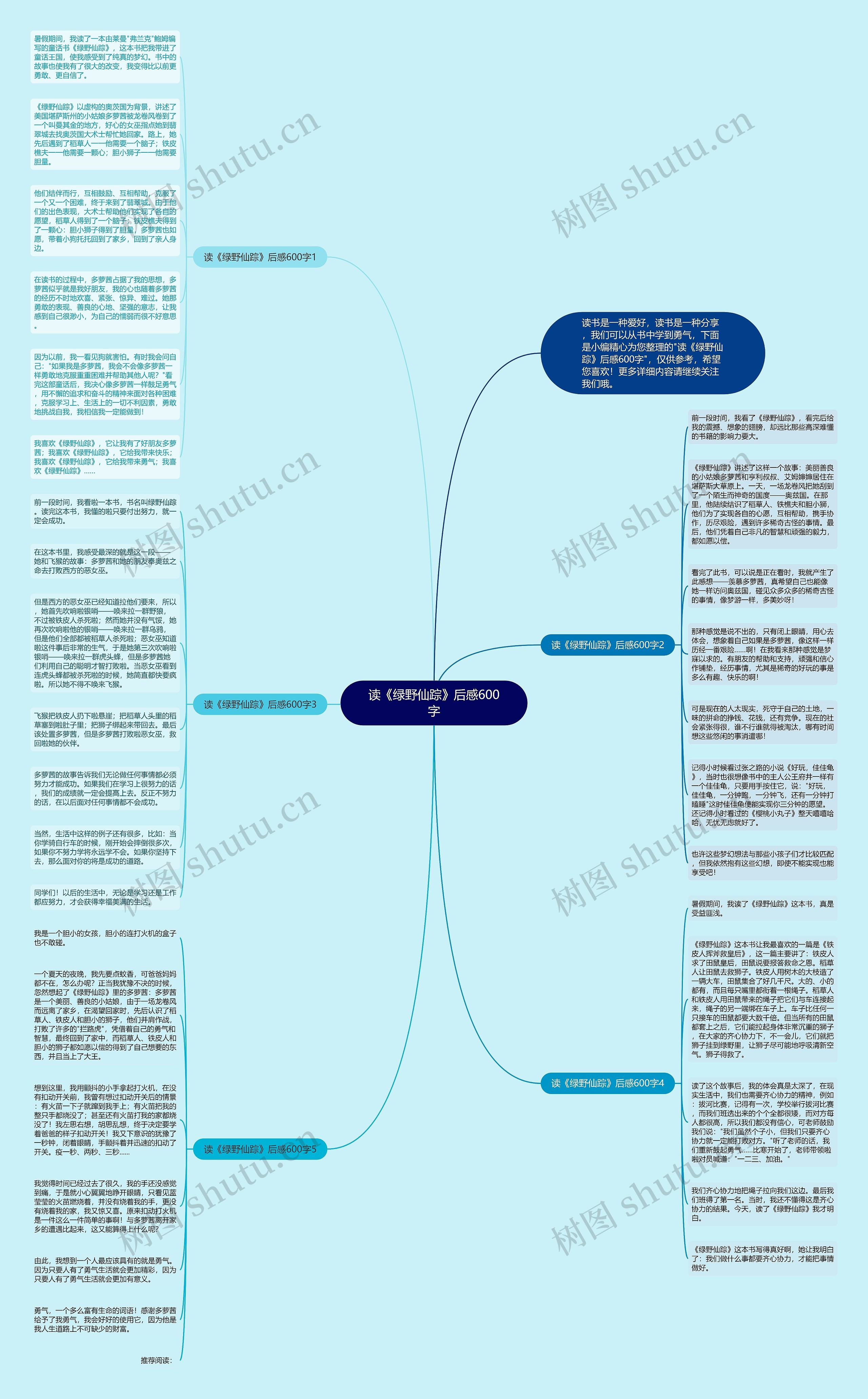 读《绿野仙踪》后感600字思维导图