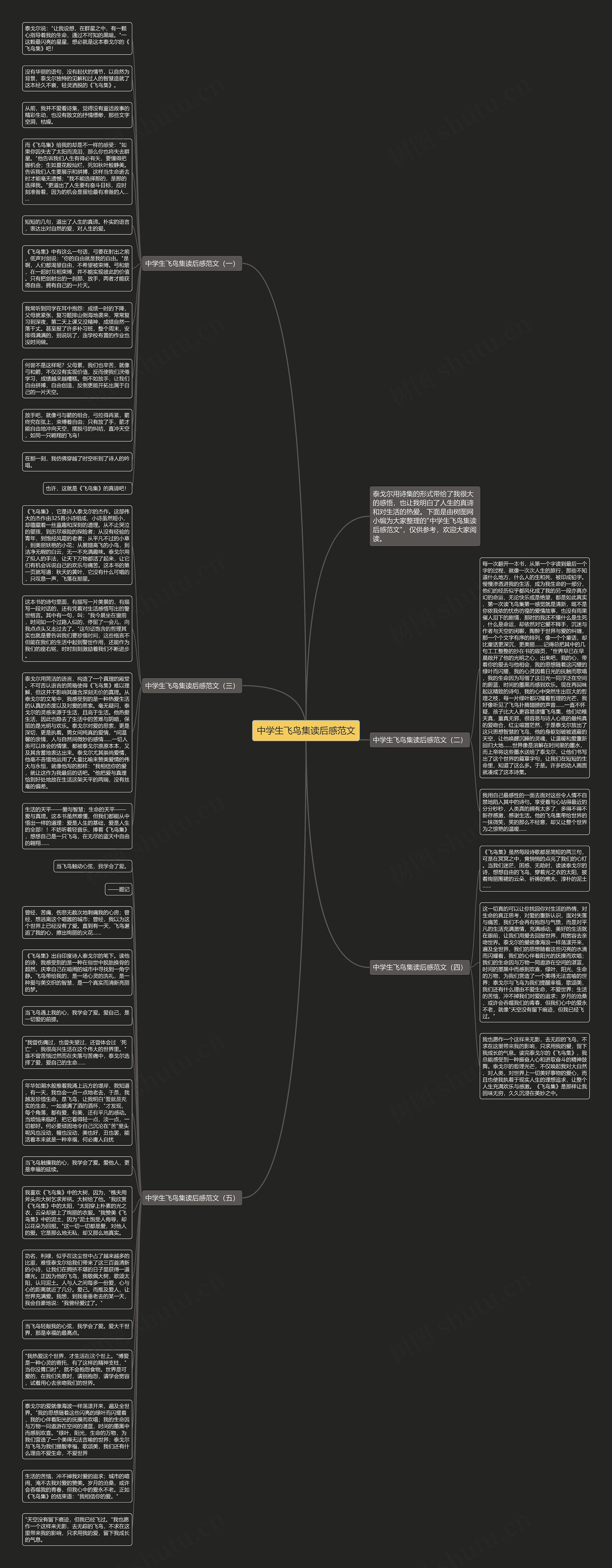 中学生飞鸟集读后感范文思维导图