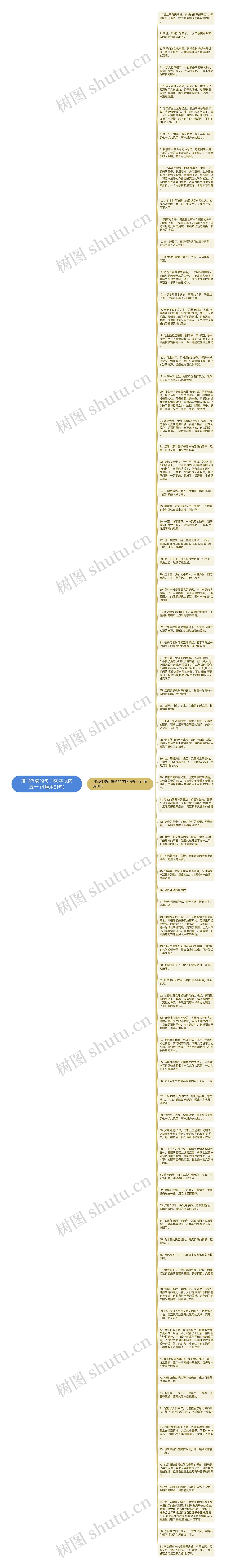 描写外貌的句子50字以内五十个(通用81句)