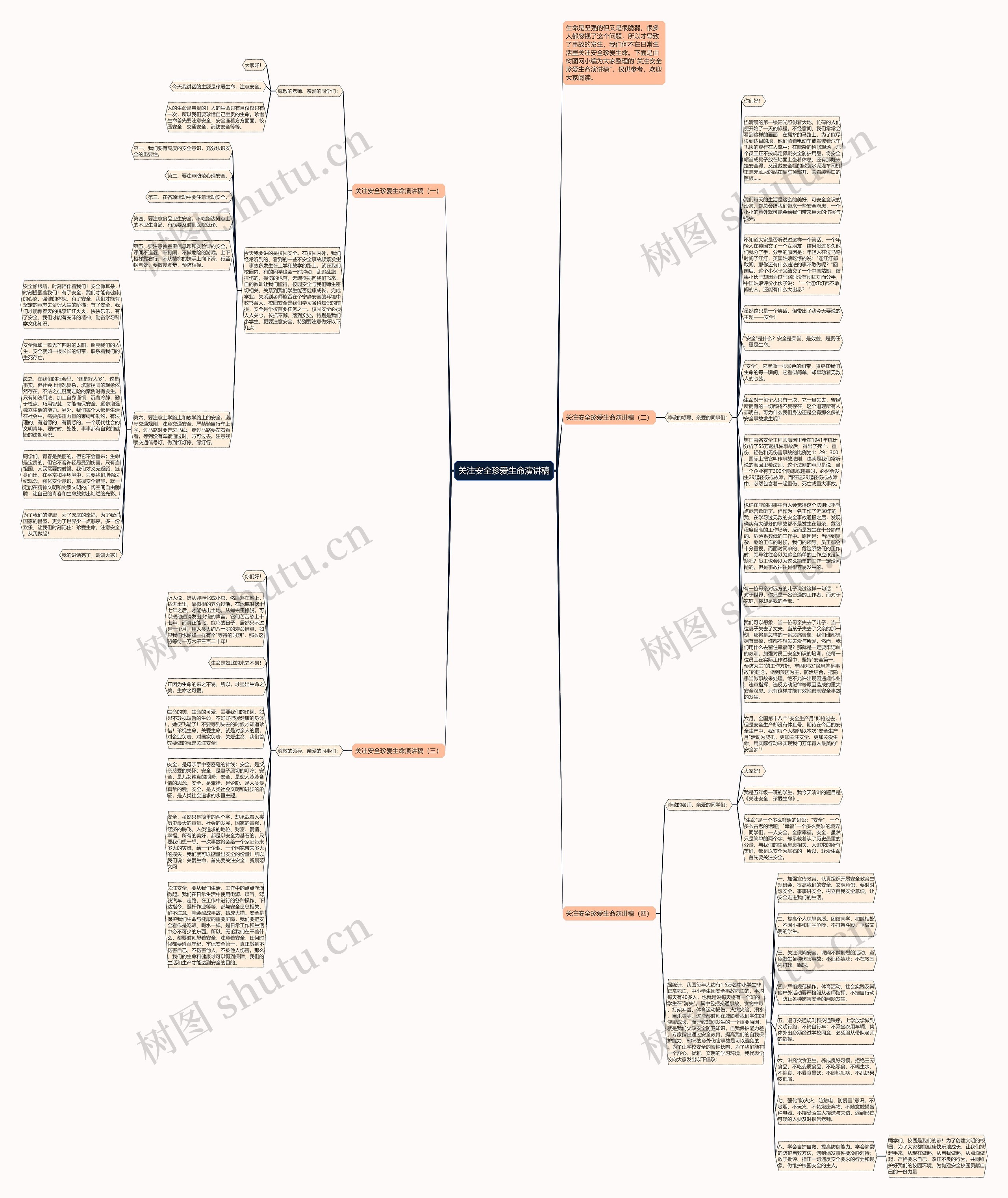 关注安全珍爱生命演讲稿思维导图