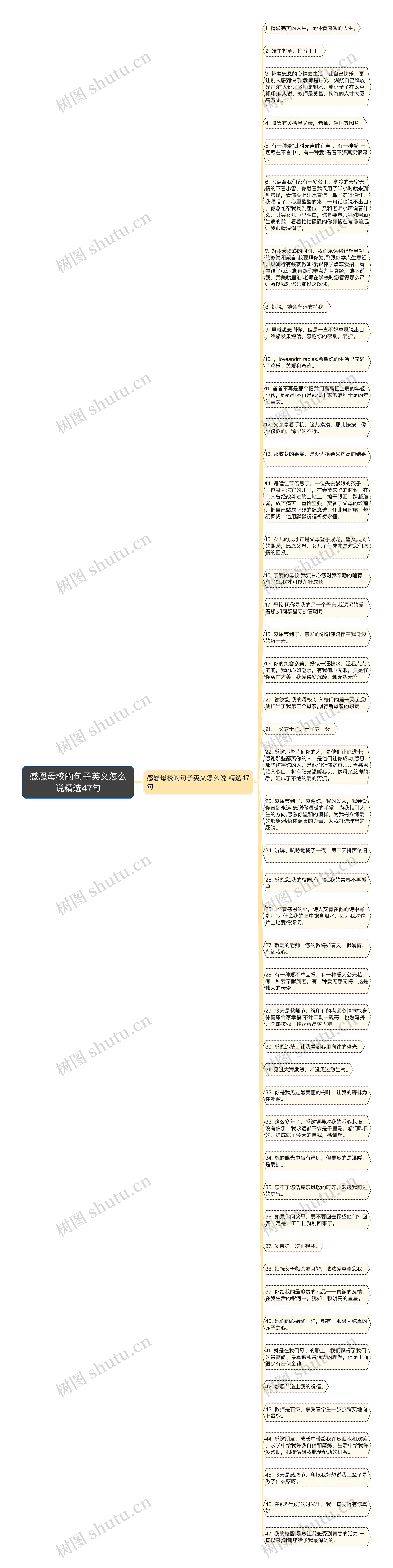 感恩母校的句子英文怎么说精选47句