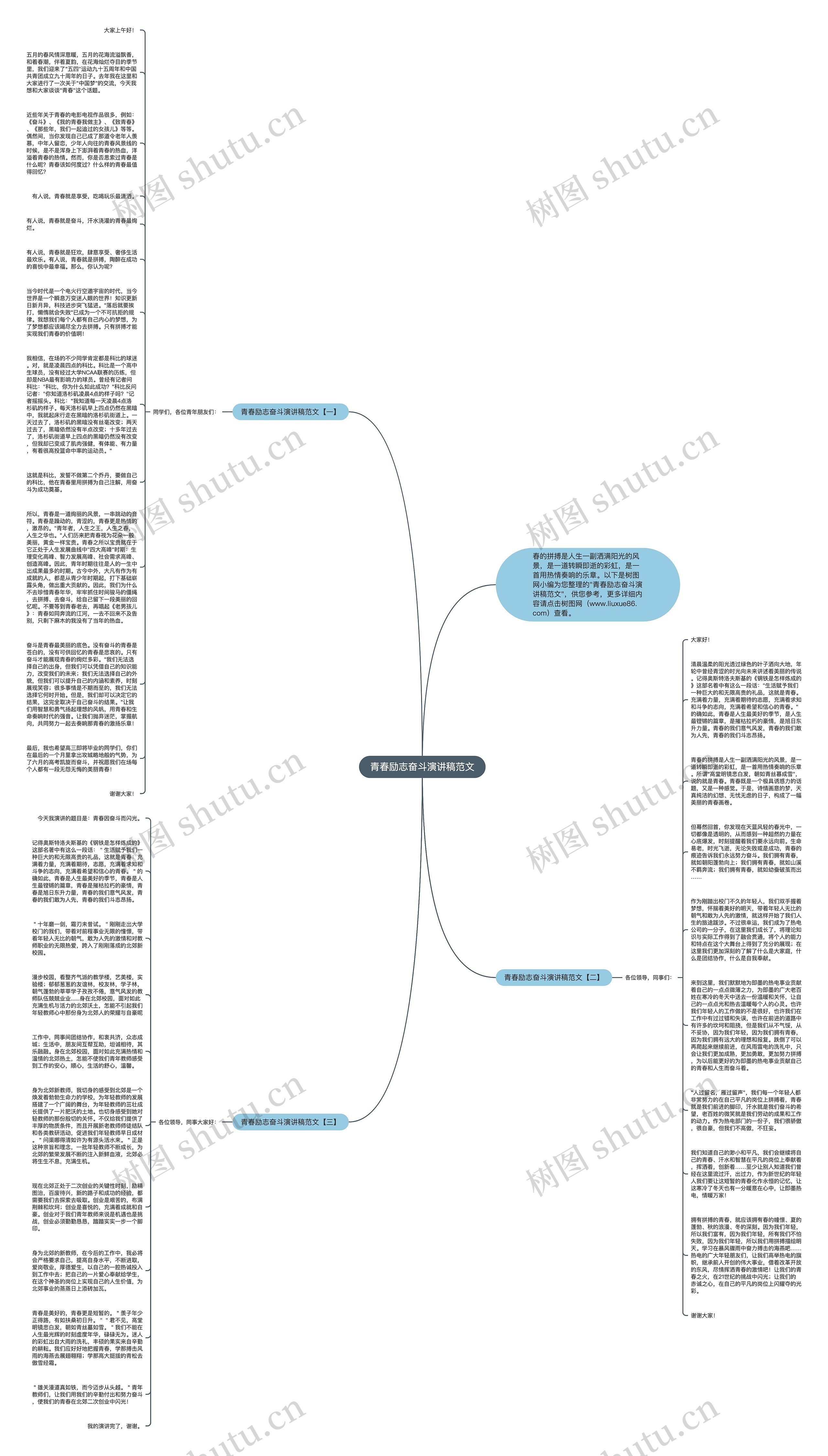 青春励志奋斗演讲稿范文思维导图
