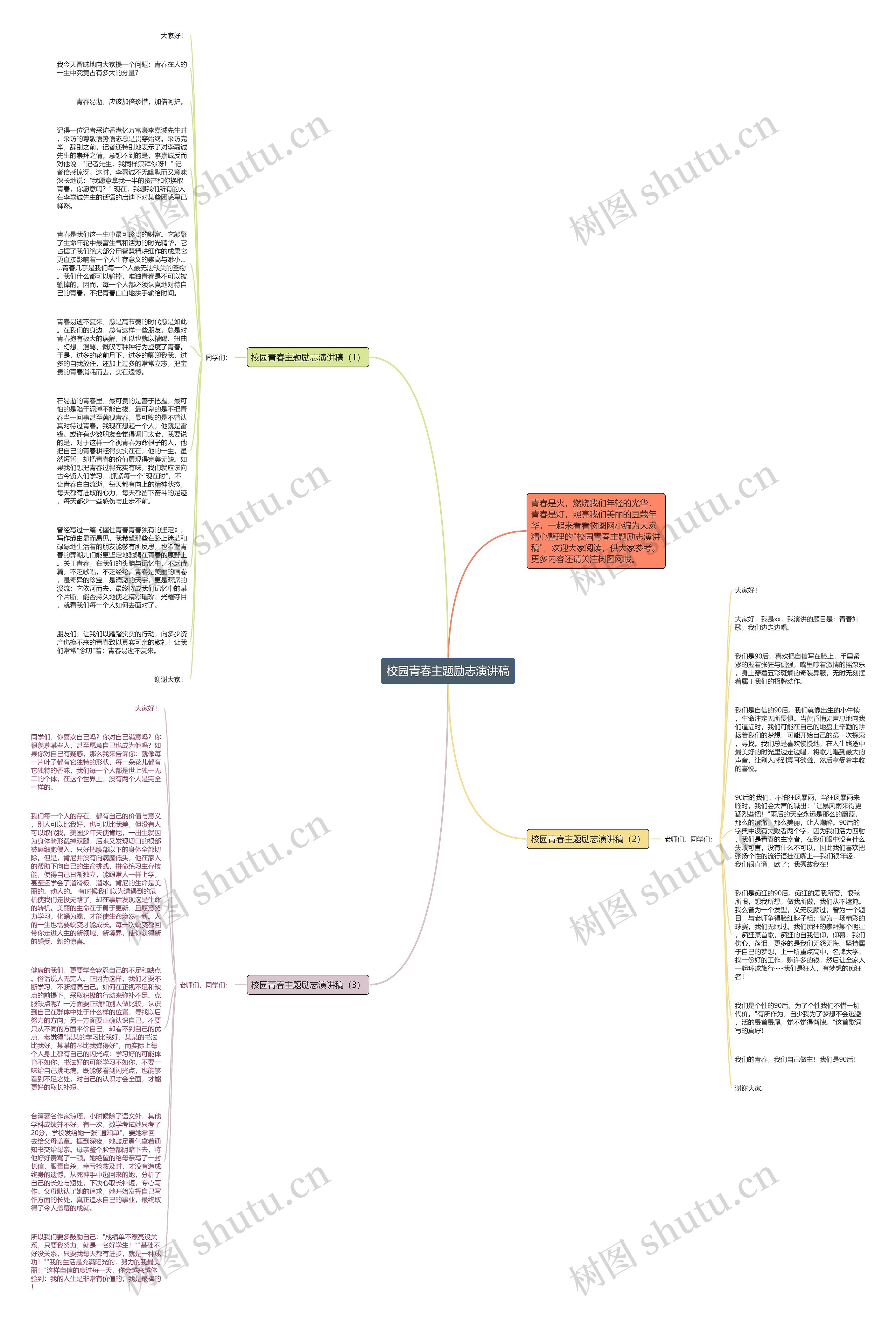 校园青春主题励志演讲稿思维导图