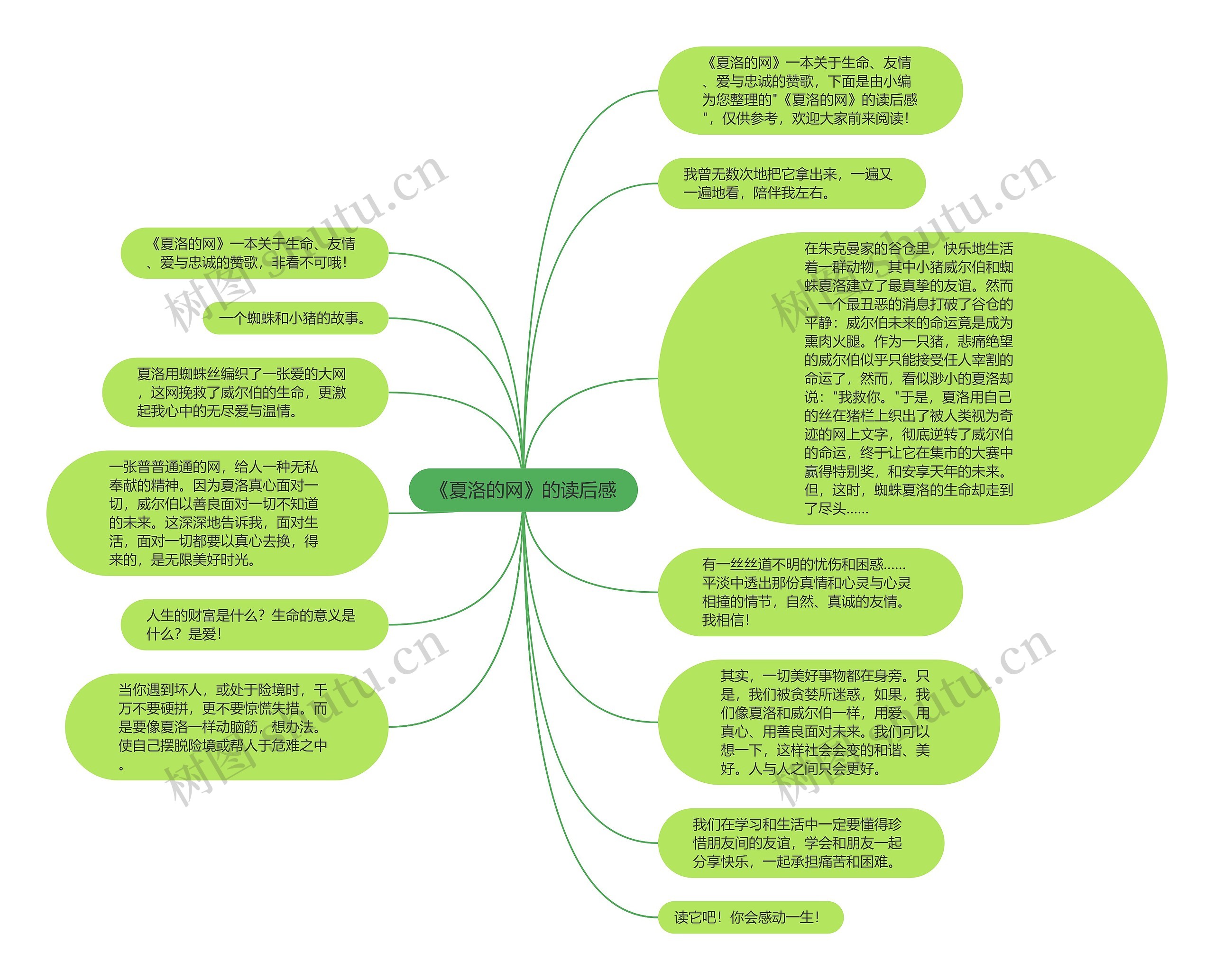 《夏洛的网》的读后感