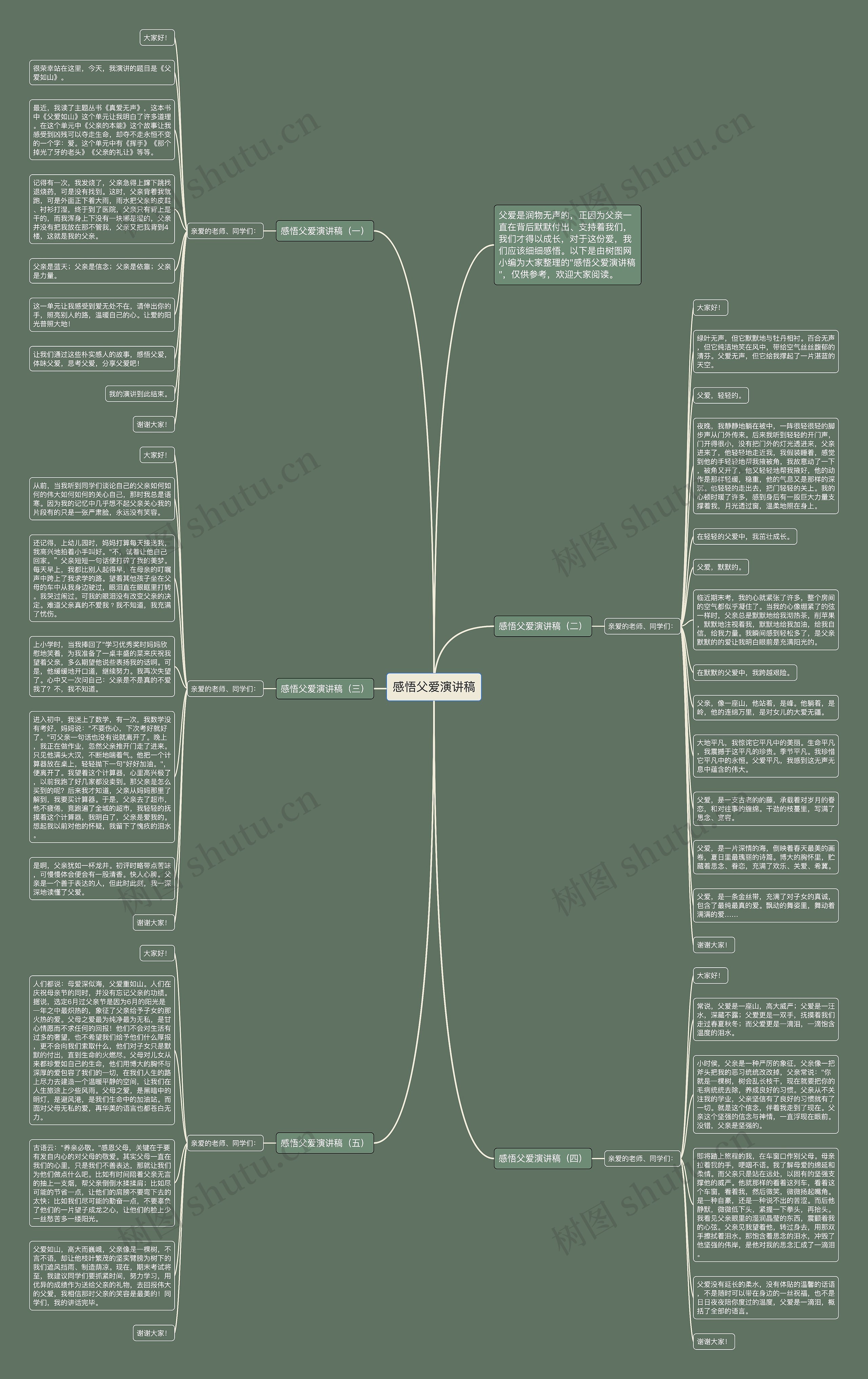 感悟父爱演讲稿思维导图