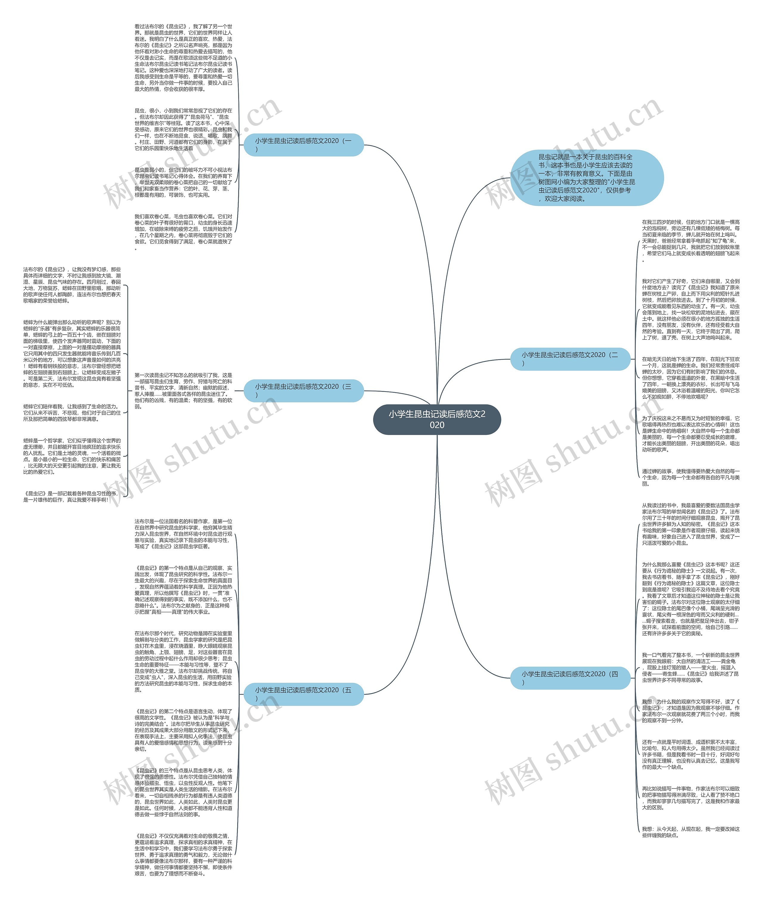 小学生昆虫记读后感范文2020思维导图