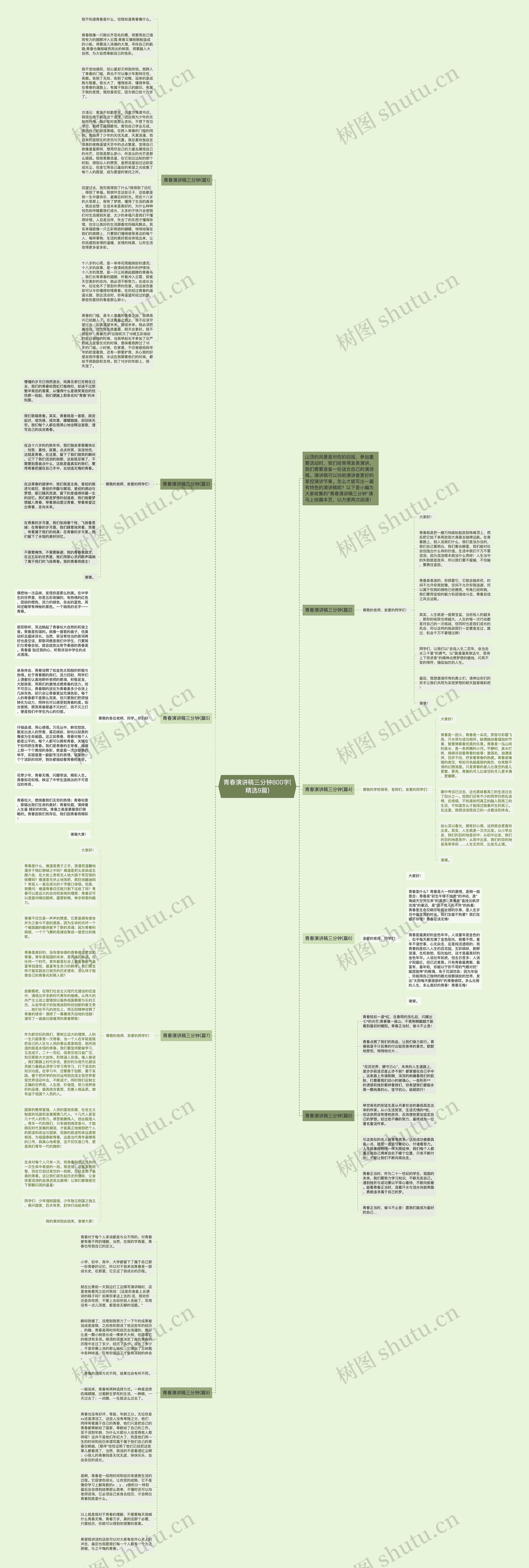青春演讲稿三分钟800字(精选9篇)思维导图