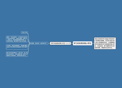 学习经验演讲稿小学生