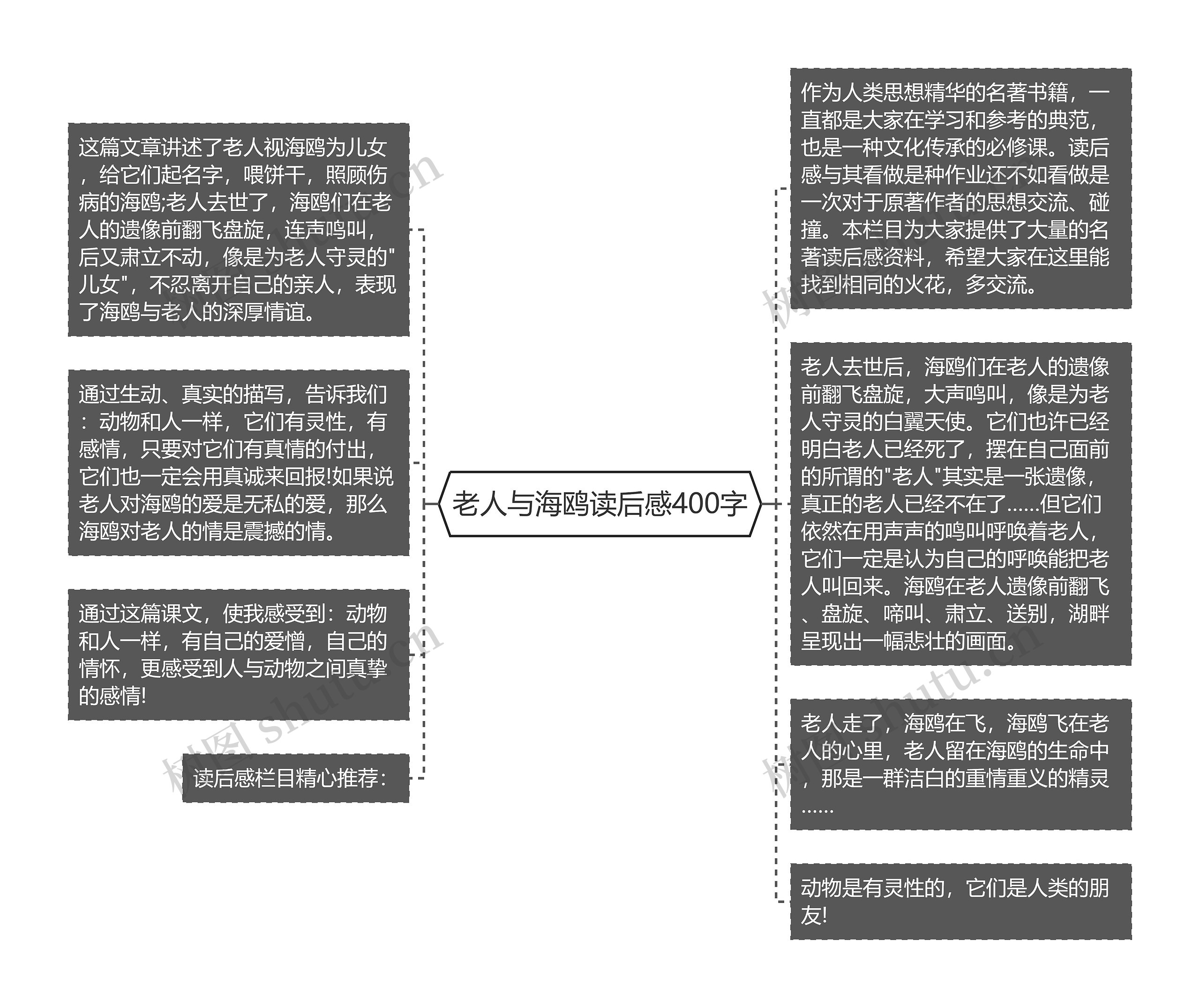 老人与海鸥读后感400字思维导图