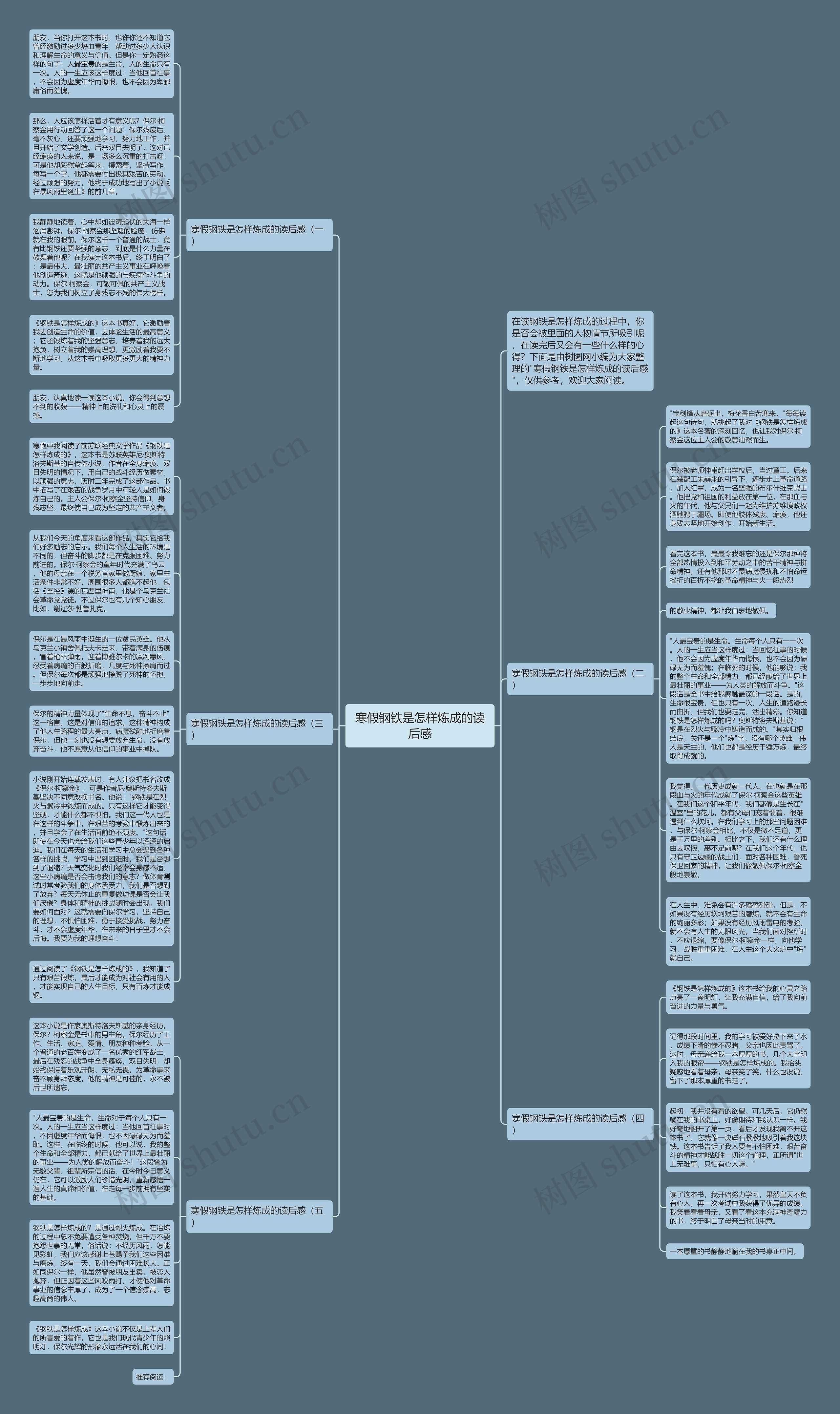 寒假钢铁是怎样炼成的读后感思维导图