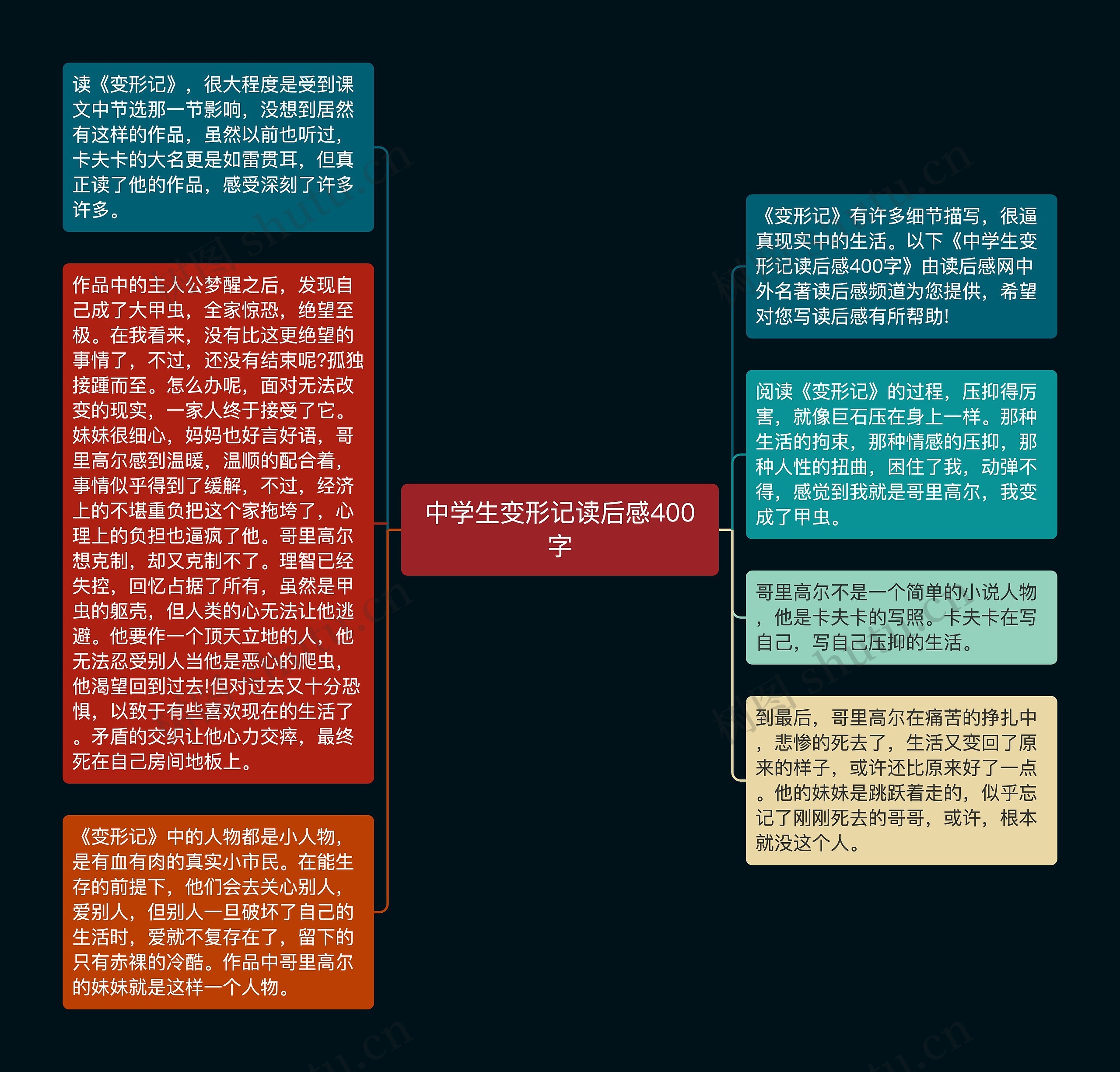 中学生变形记读后感400字思维导图