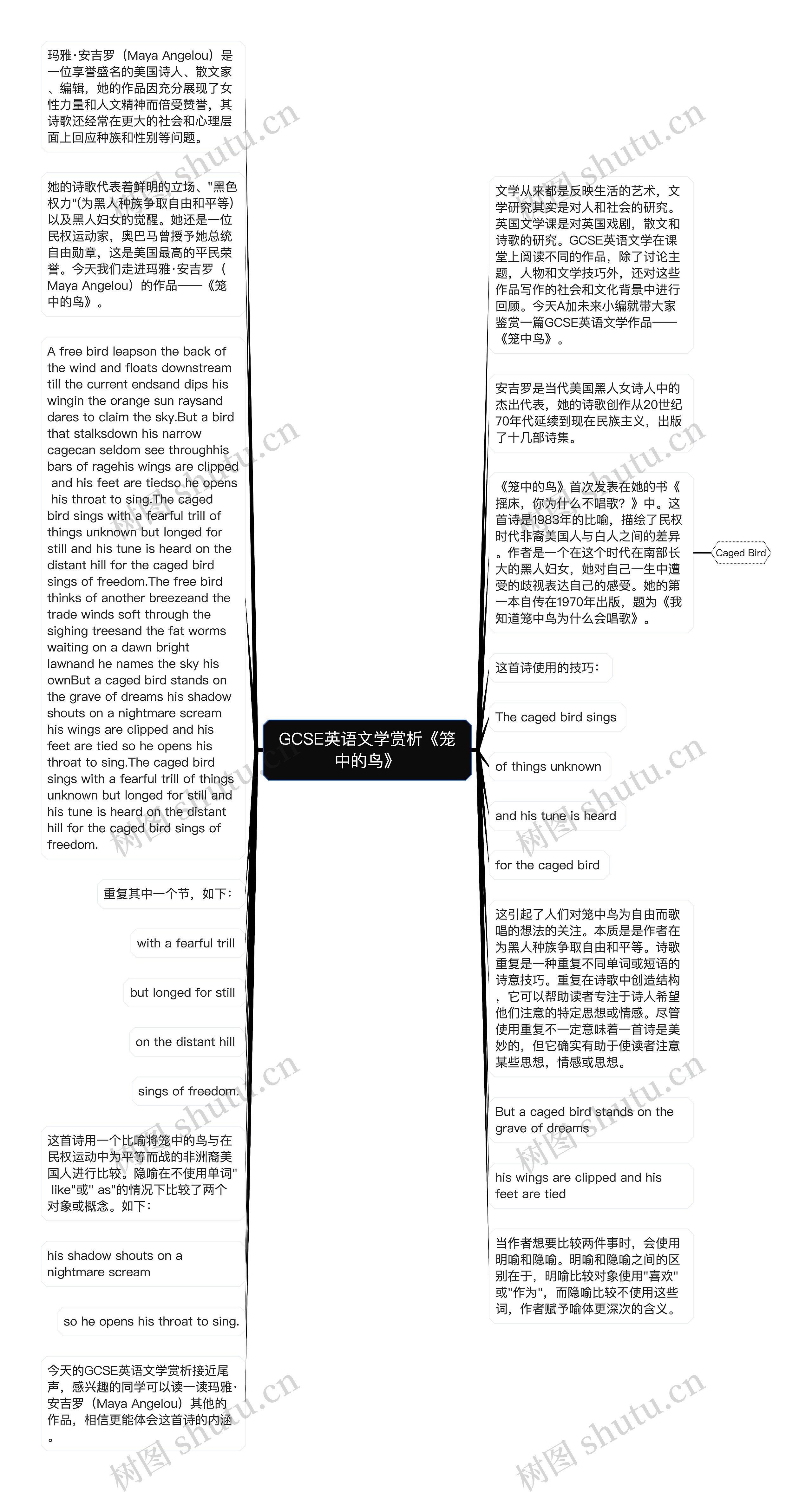 GCSE英语文学赏析《笼中的鸟》思维导图