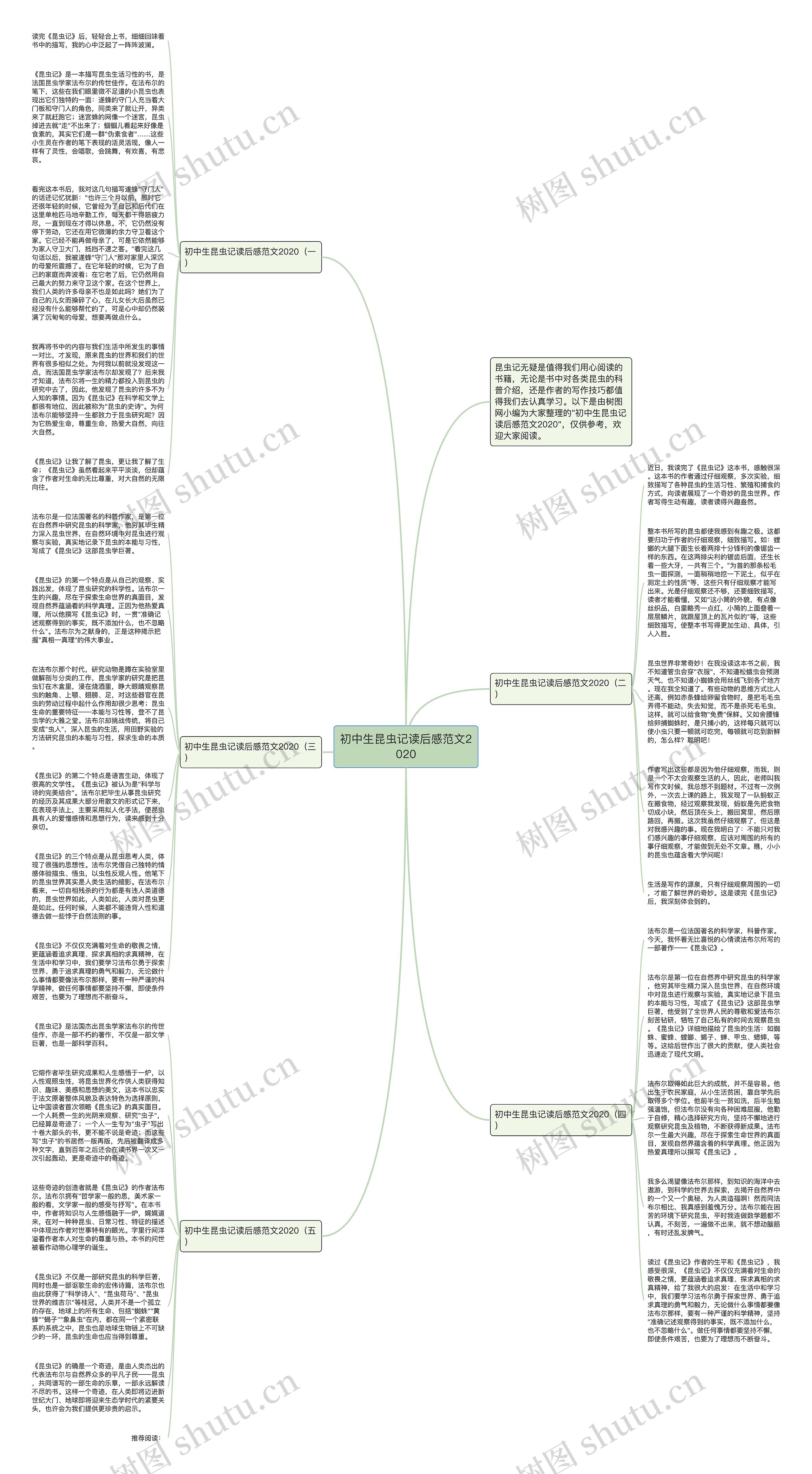 初中生昆虫记读后感范文2020思维导图