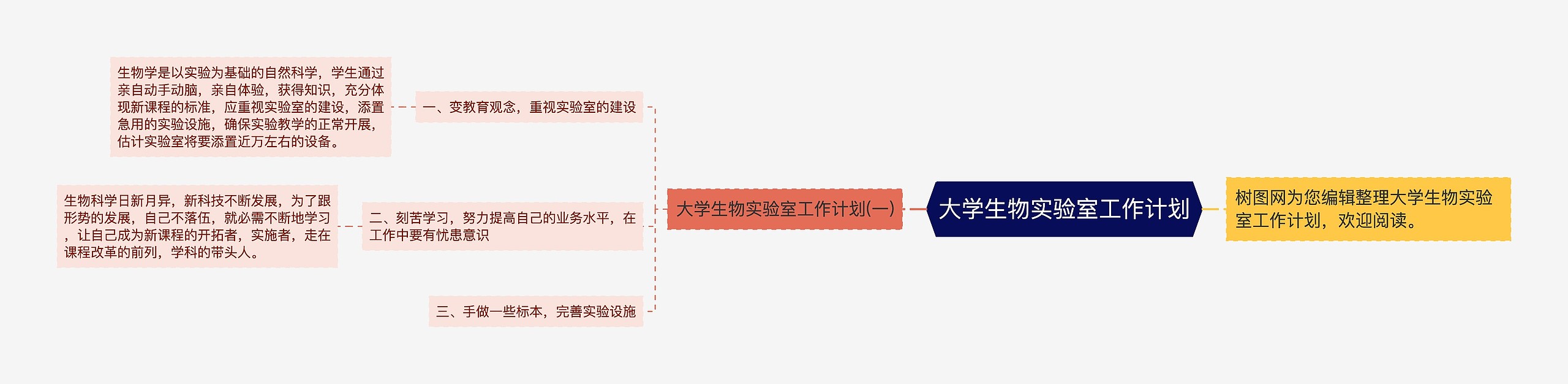 大学生物实验室工作计划