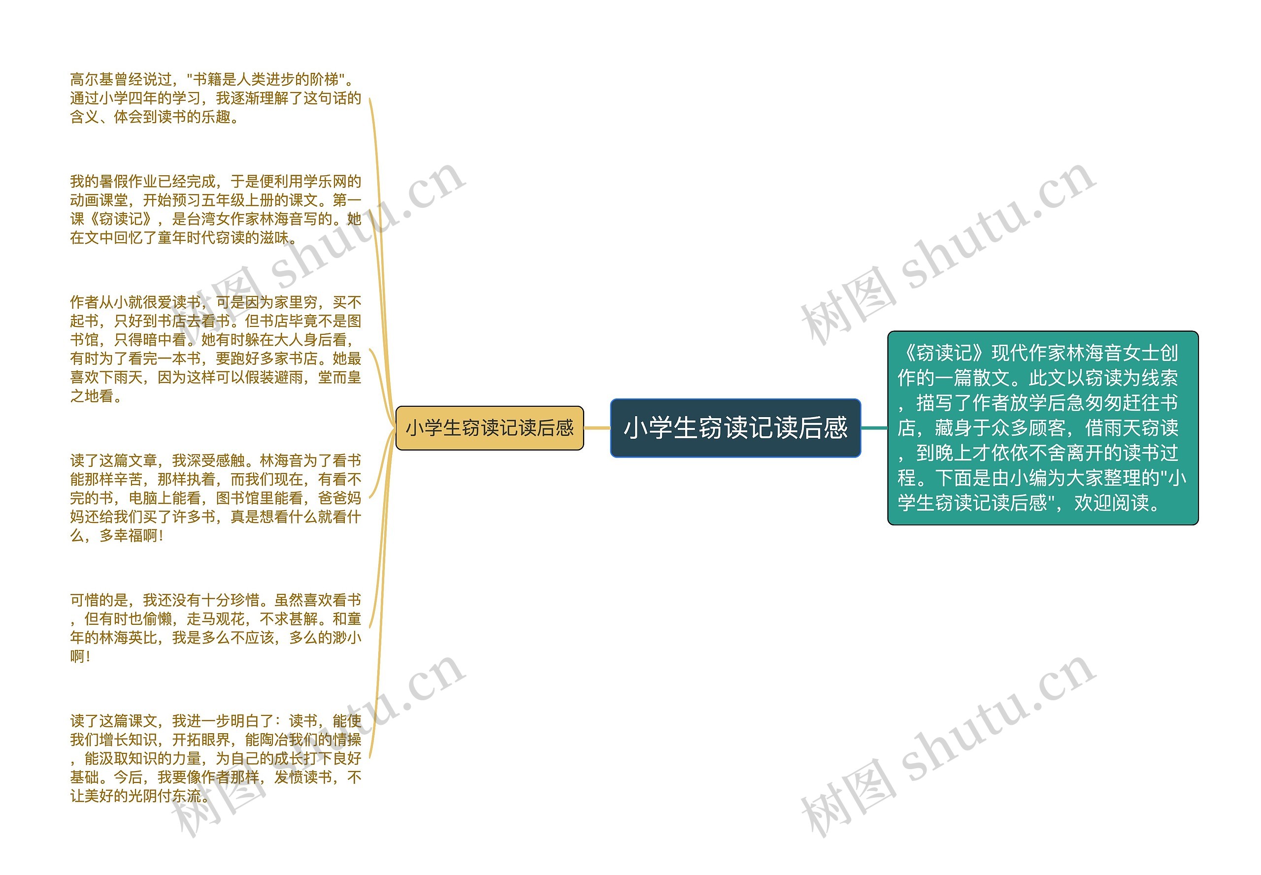 小学生窃读记读后感