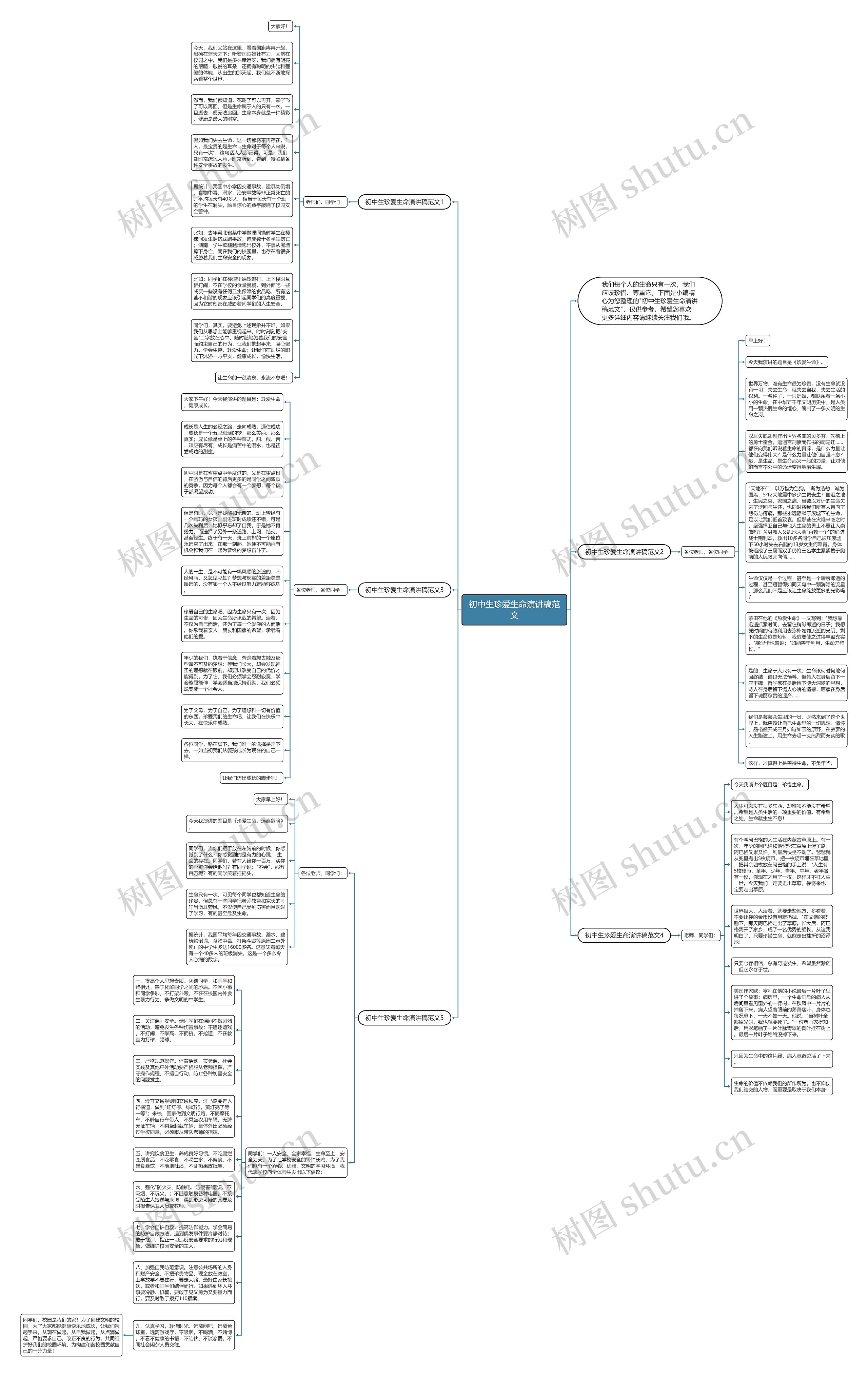 初中生珍爱生命演讲稿范文思维导图