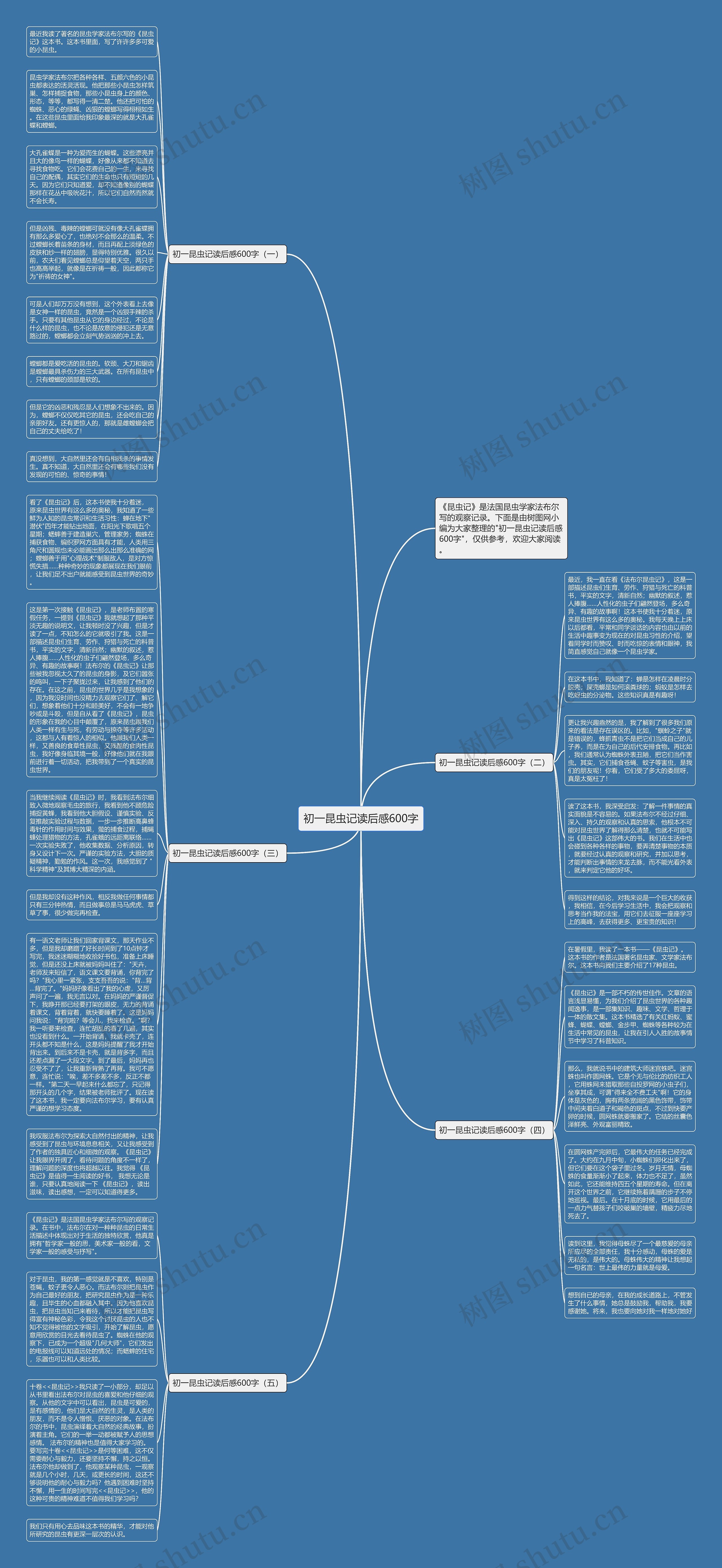 初一昆虫记读后感600字思维导图