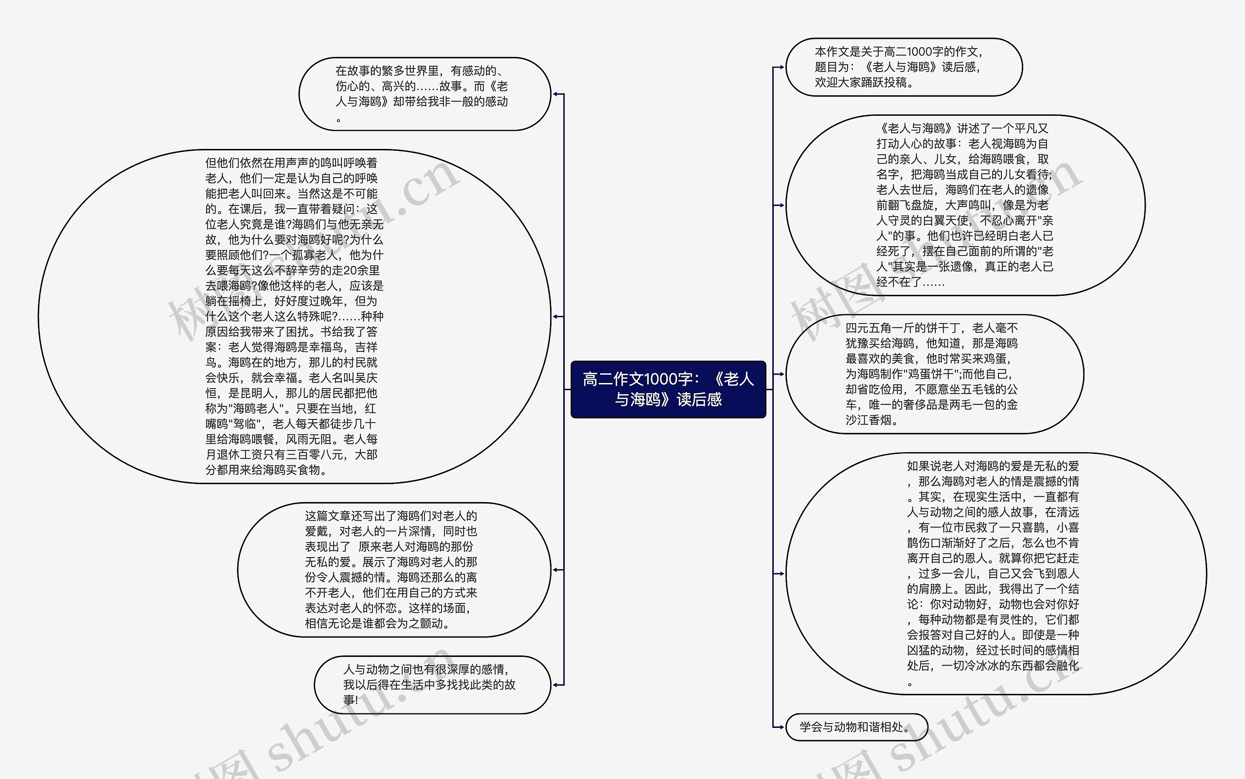 高二作文1000字：《老人与海鸥》读后感