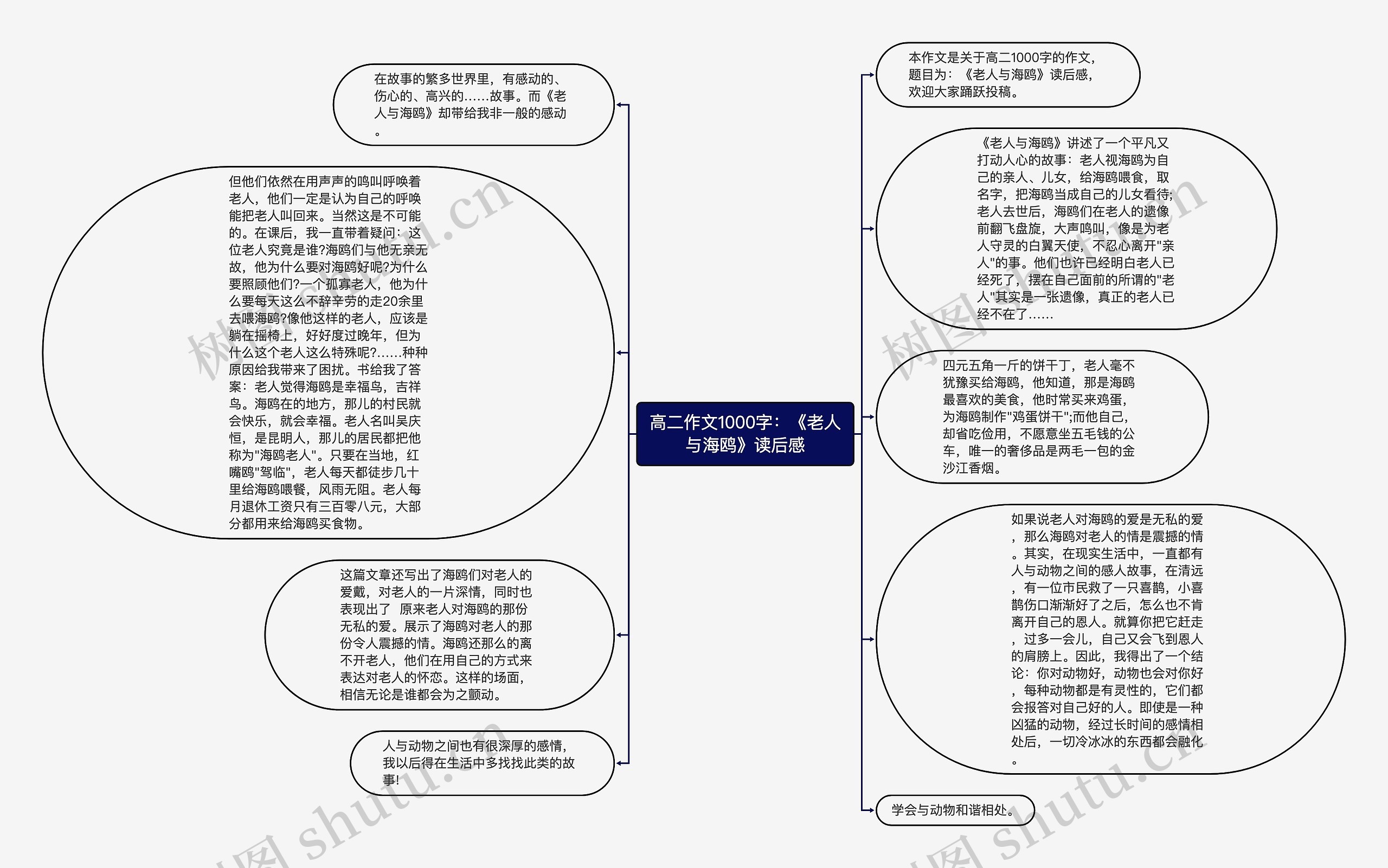 高二作文1000字：《老人与海鸥》读后感思维导图