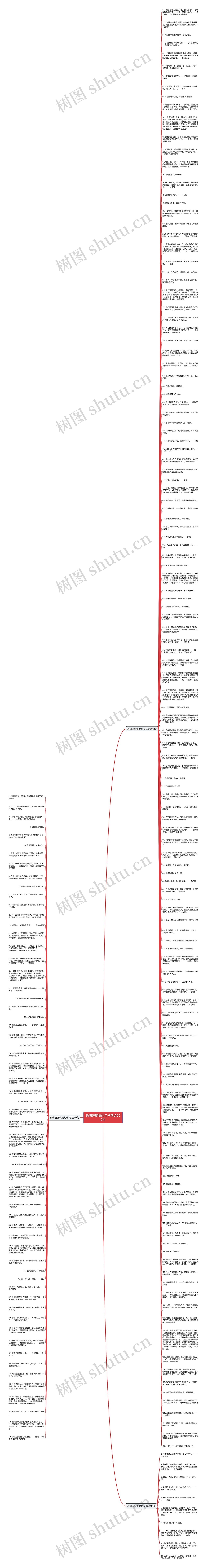 说明速度快的句子精选202句思维导图