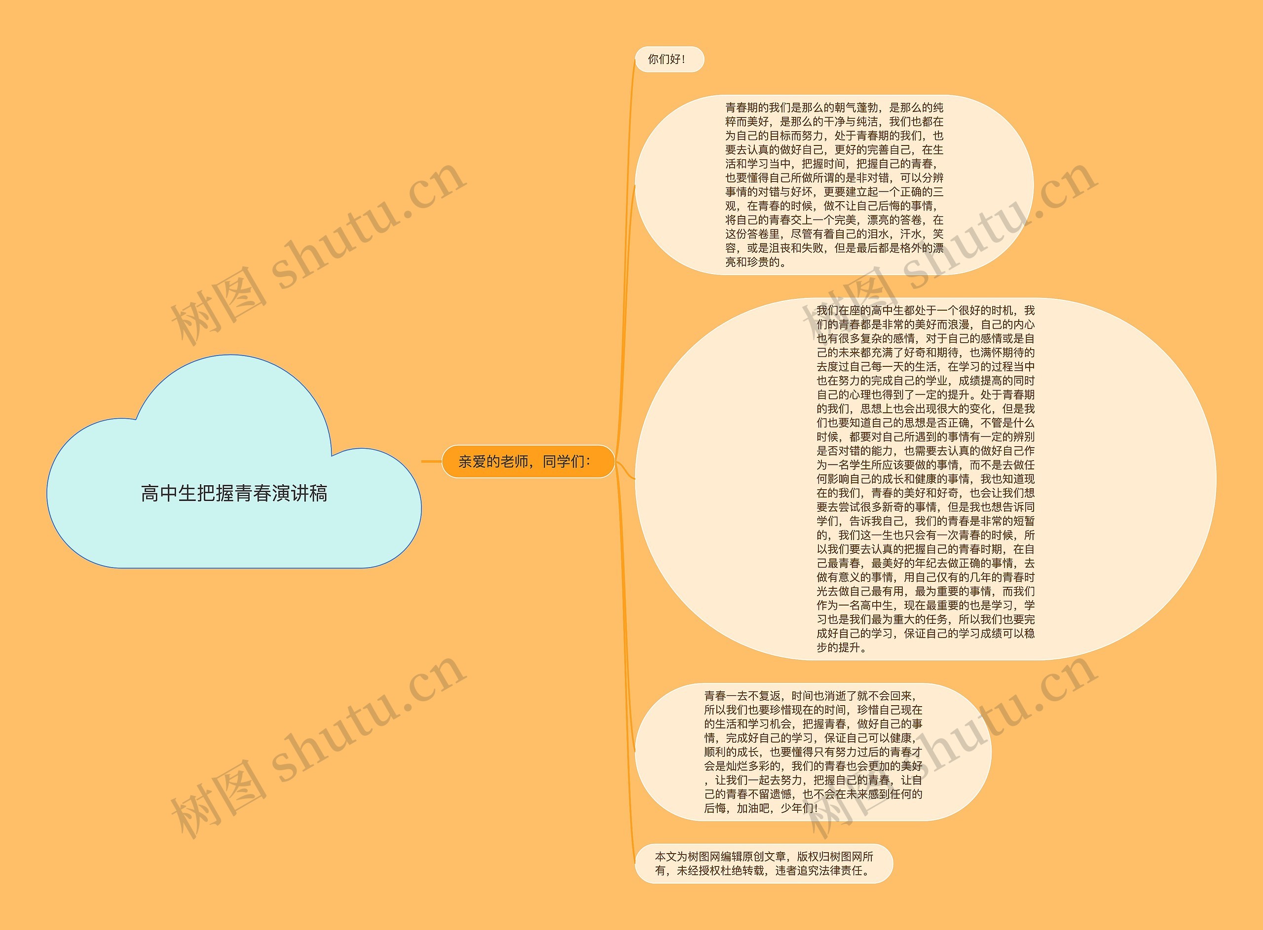 高中生把握青春演讲稿思维导图