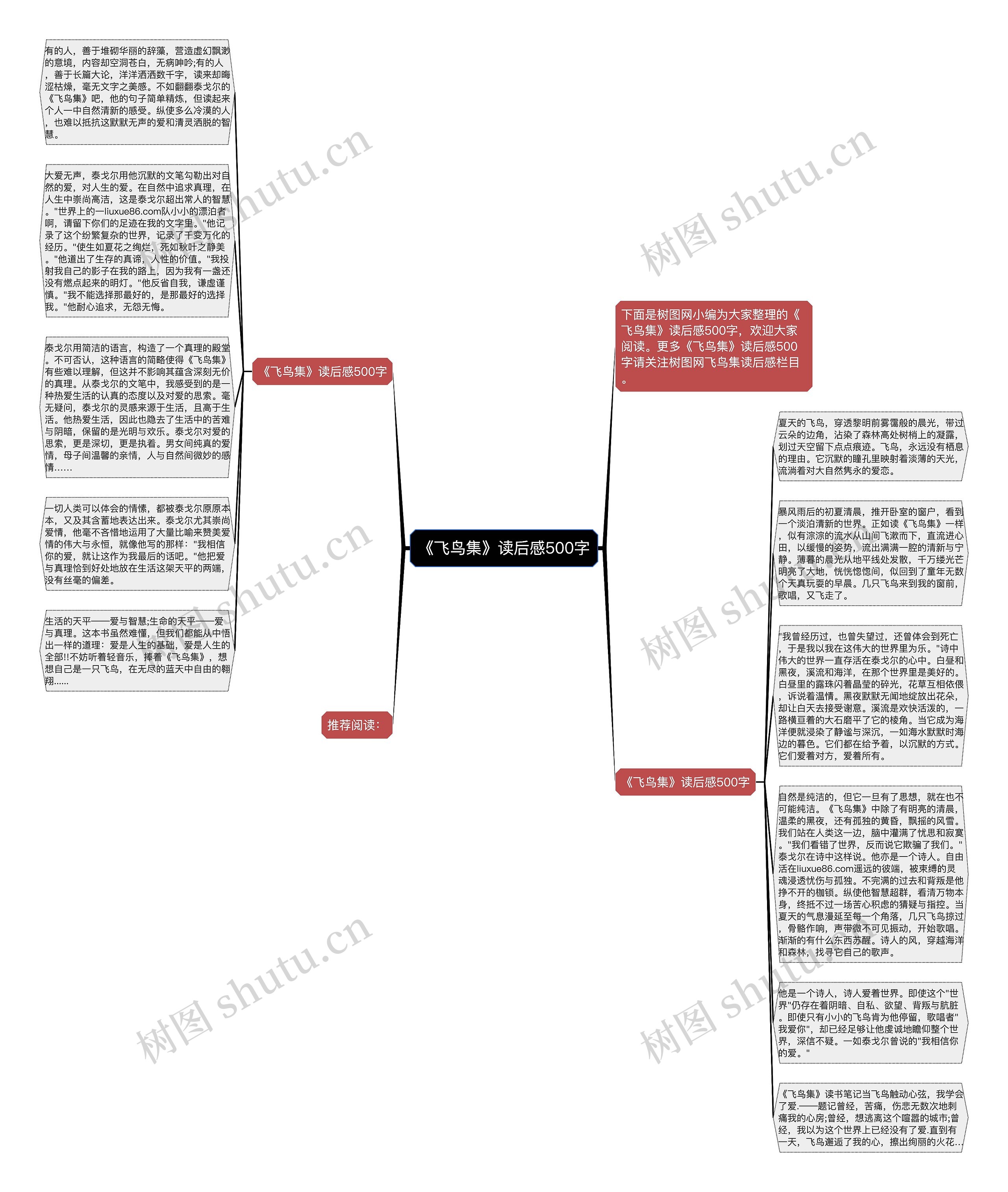 《飞鸟集》读后感500字思维导图
