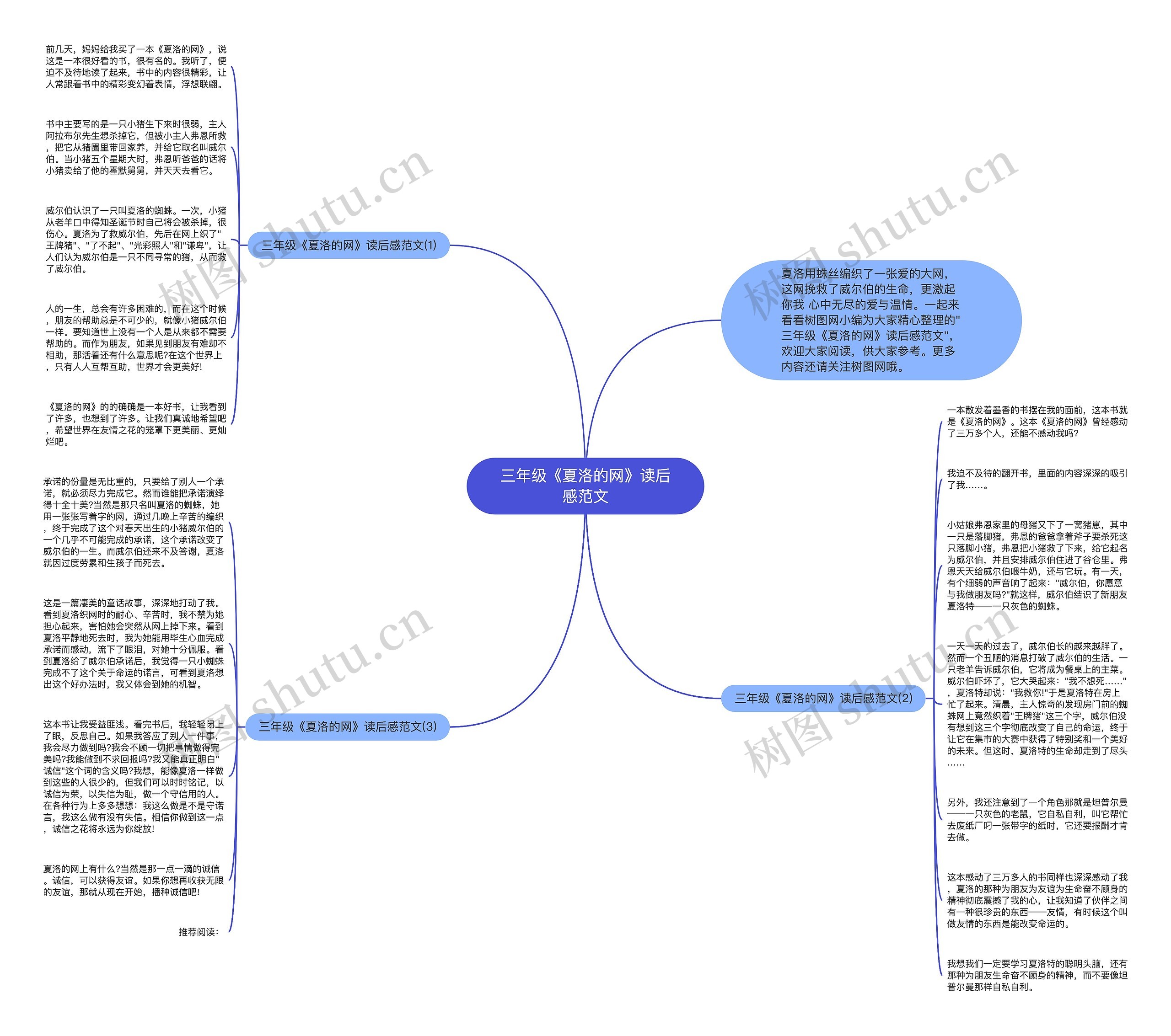 三年级《夏洛的网》读后感范文思维导图