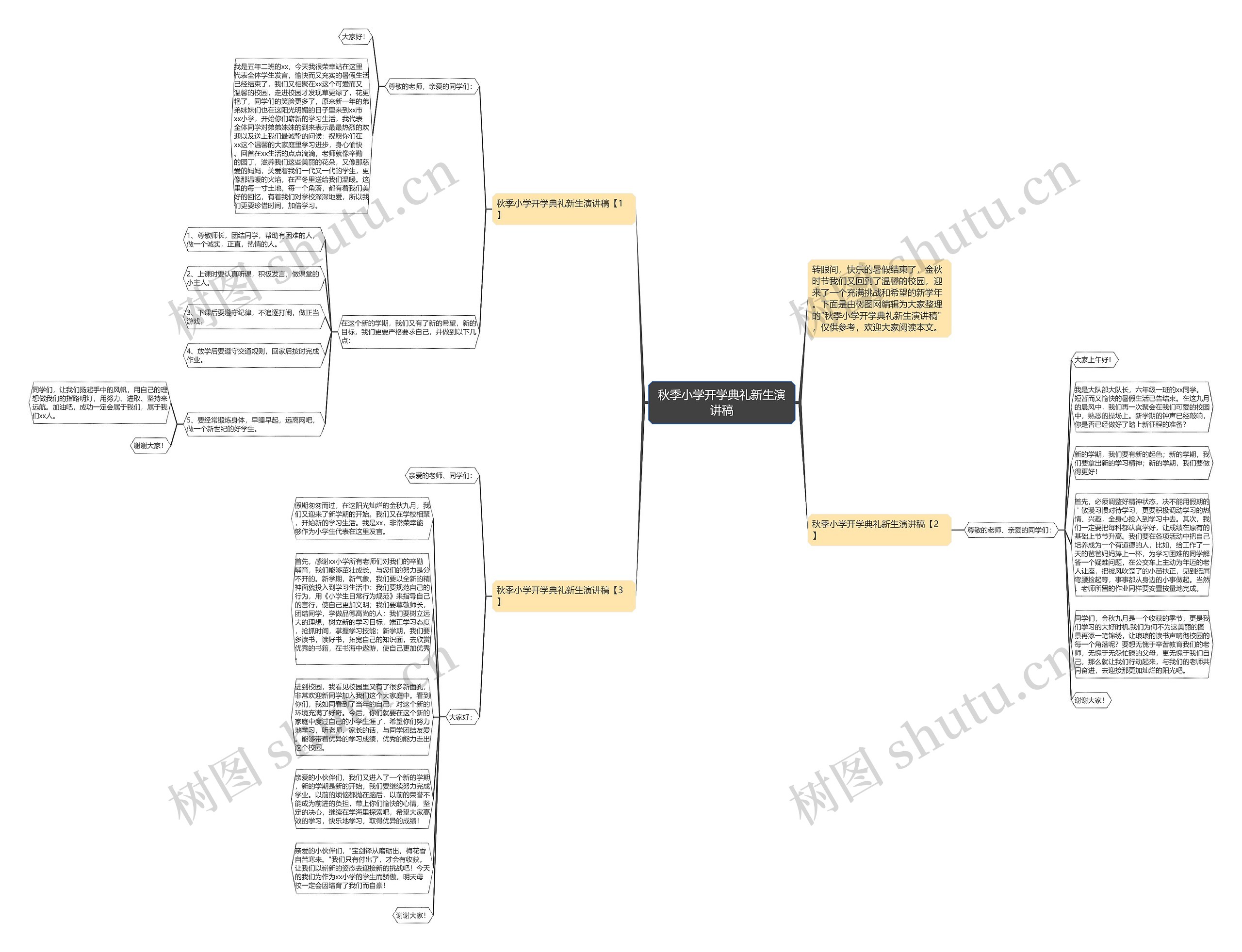 秋季小学开学典礼新生演讲稿思维导图