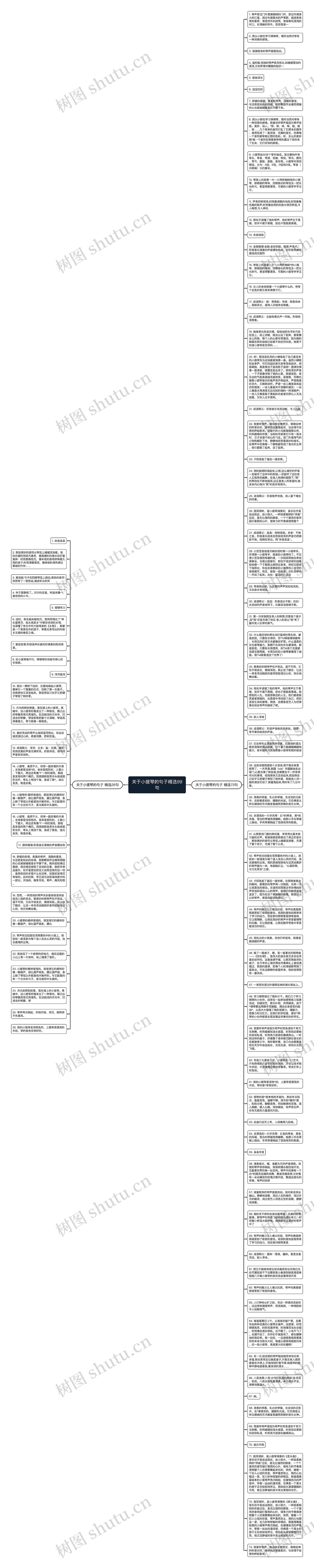 关于小提琴的句子精选99句思维导图
