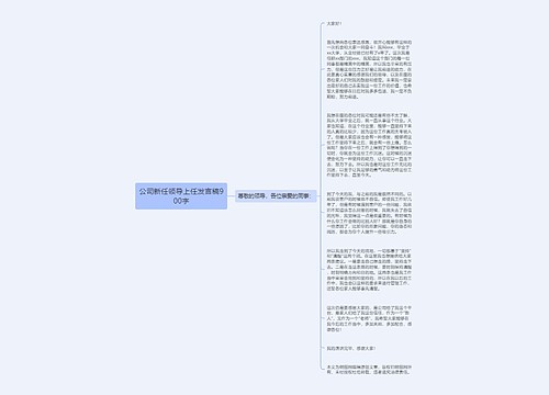 公司新任领导上任发言稿900字