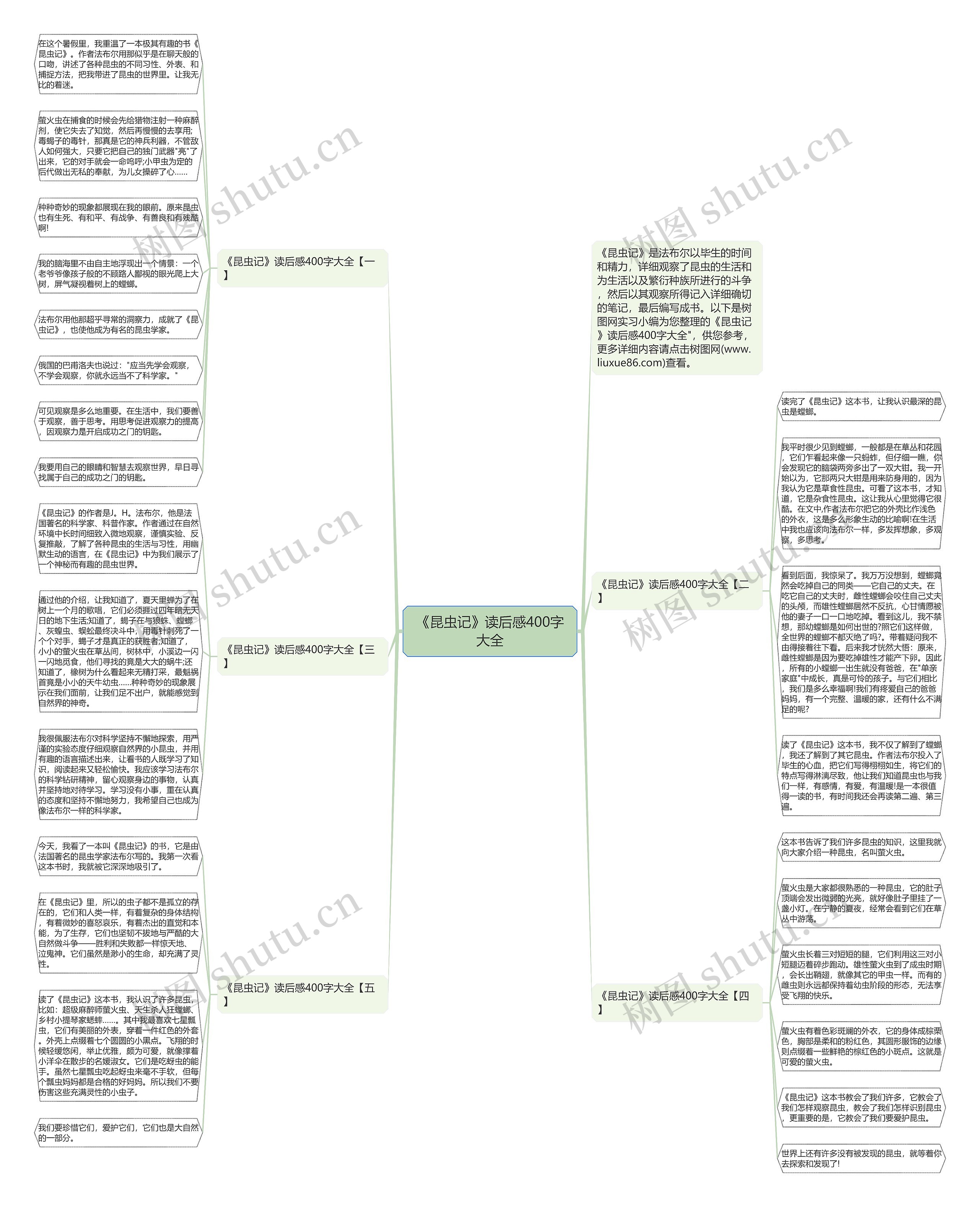 《昆虫记》读后感400字大全思维导图