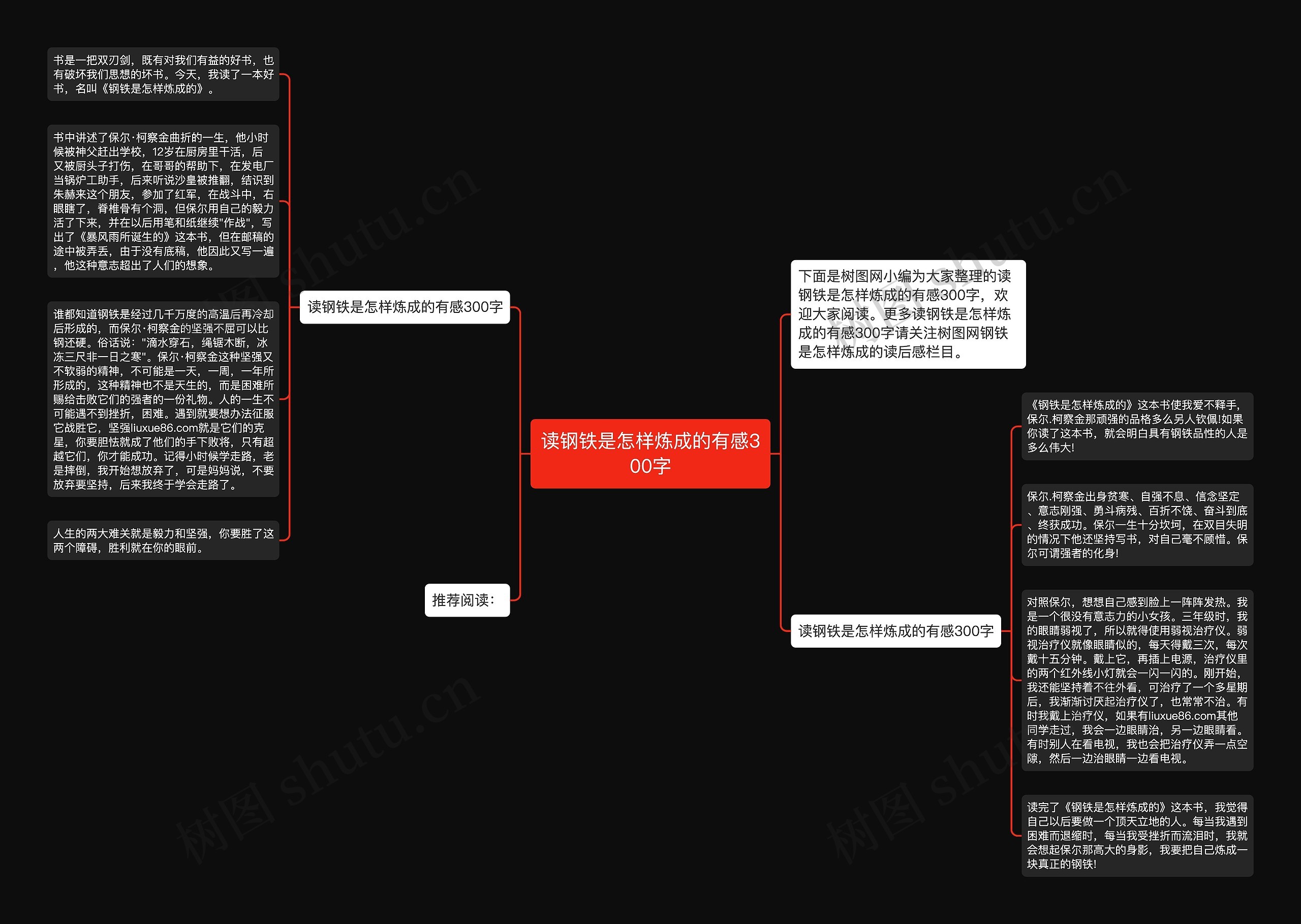 读钢铁是怎样炼成的有感300字