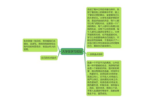 大学生学习规划