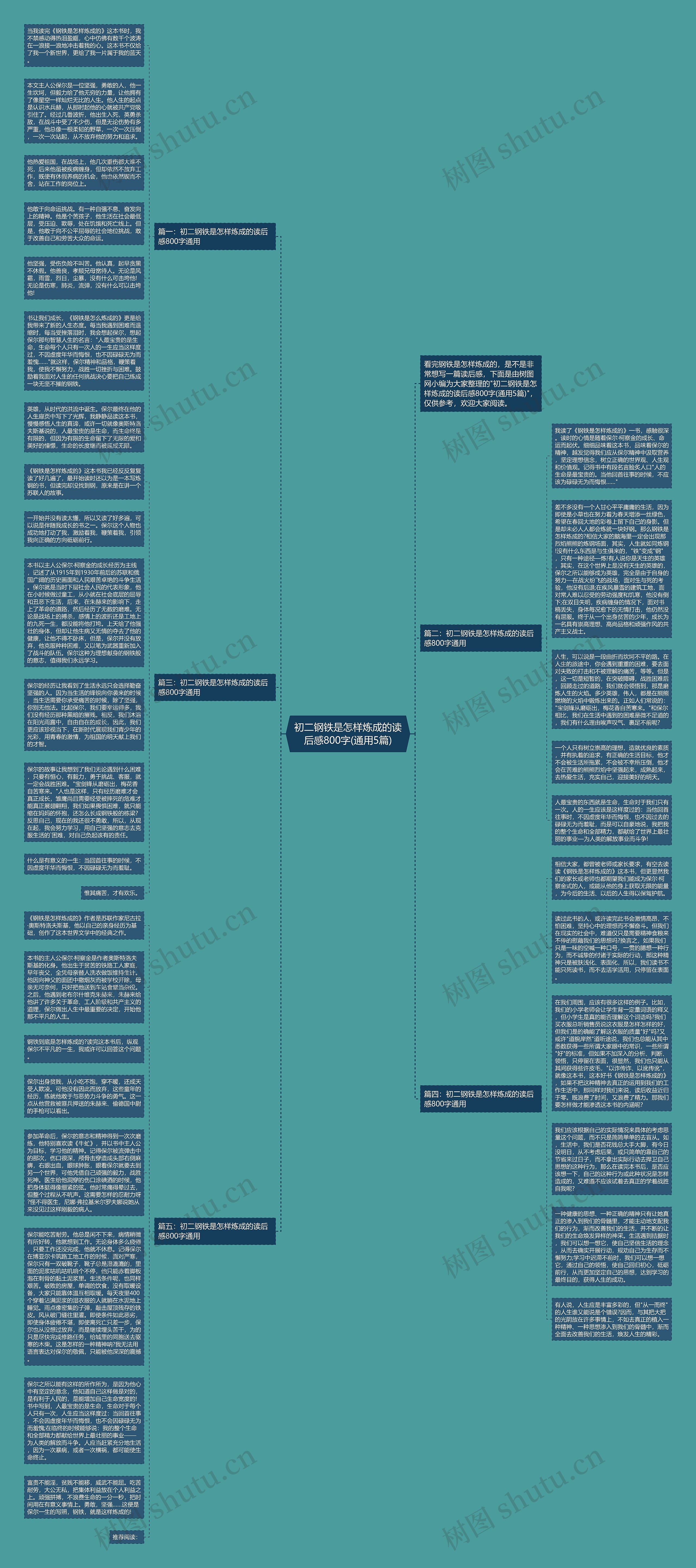 初二钢铁是怎样炼成的读后感800字(通用5篇)思维导图