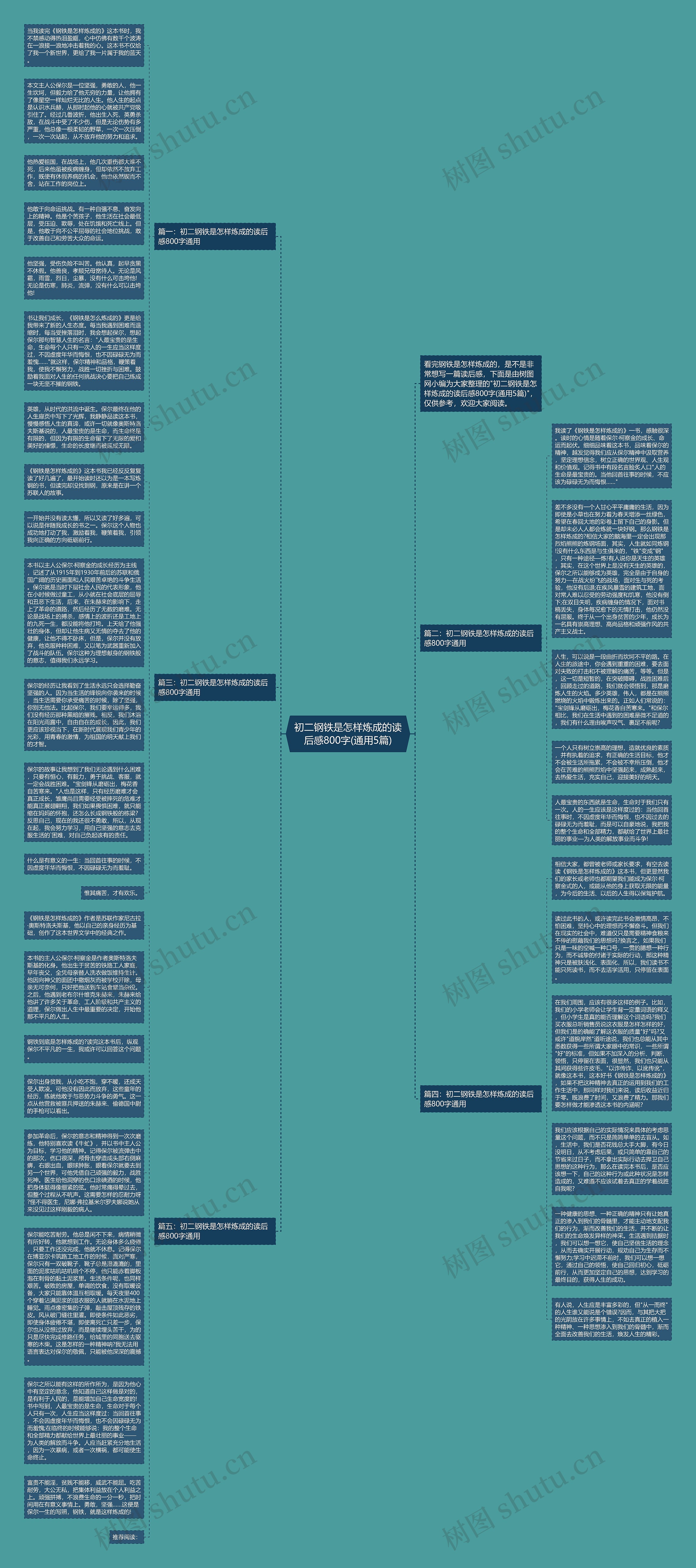 初二钢铁是怎样炼成的读后感800字(通用5篇)思维导图高清图 初二钢铁是怎样炼成的读后感800字(通用5篇)思维导图