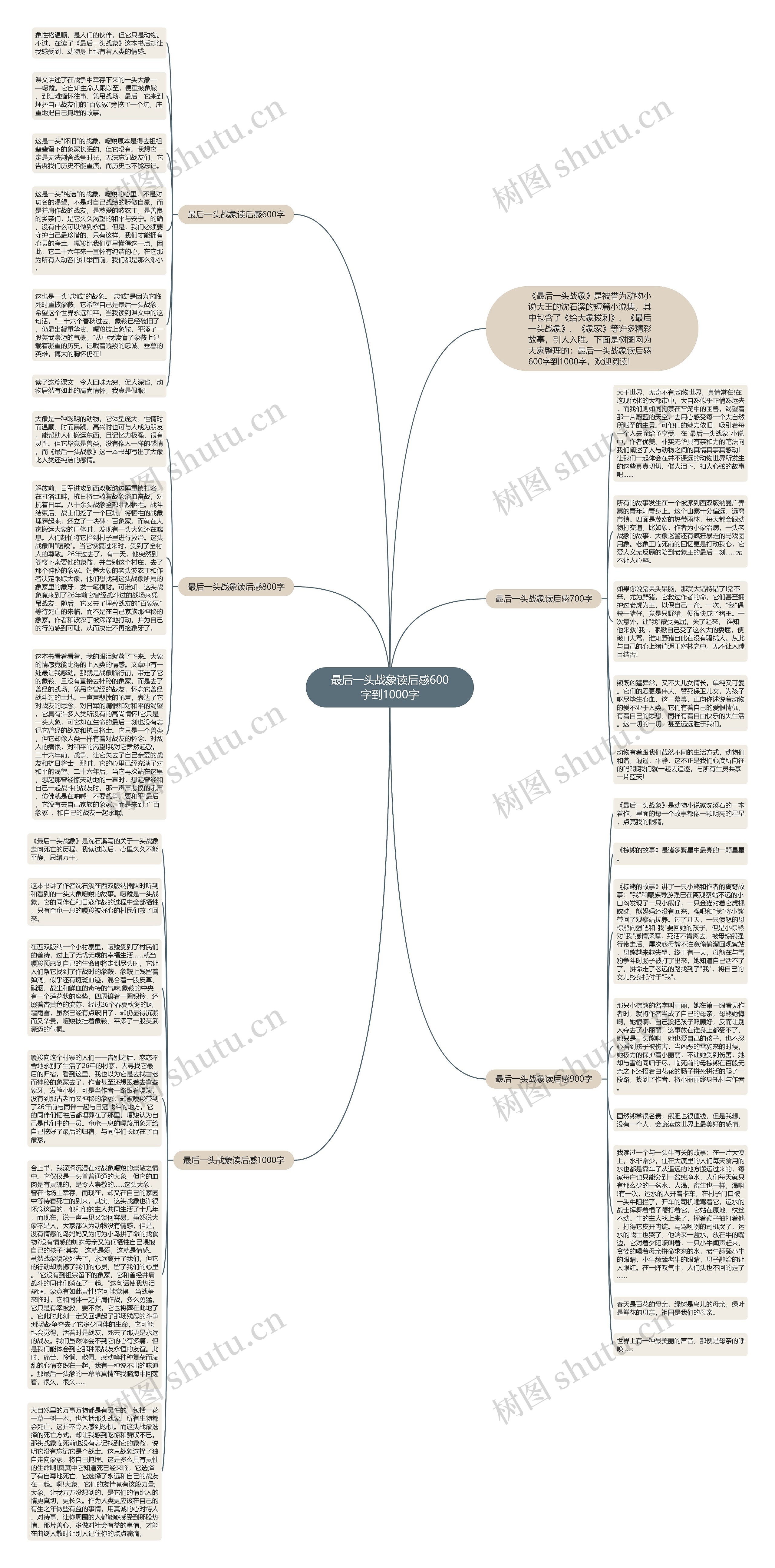 最后一头战象读后感600字到1000字思维导图