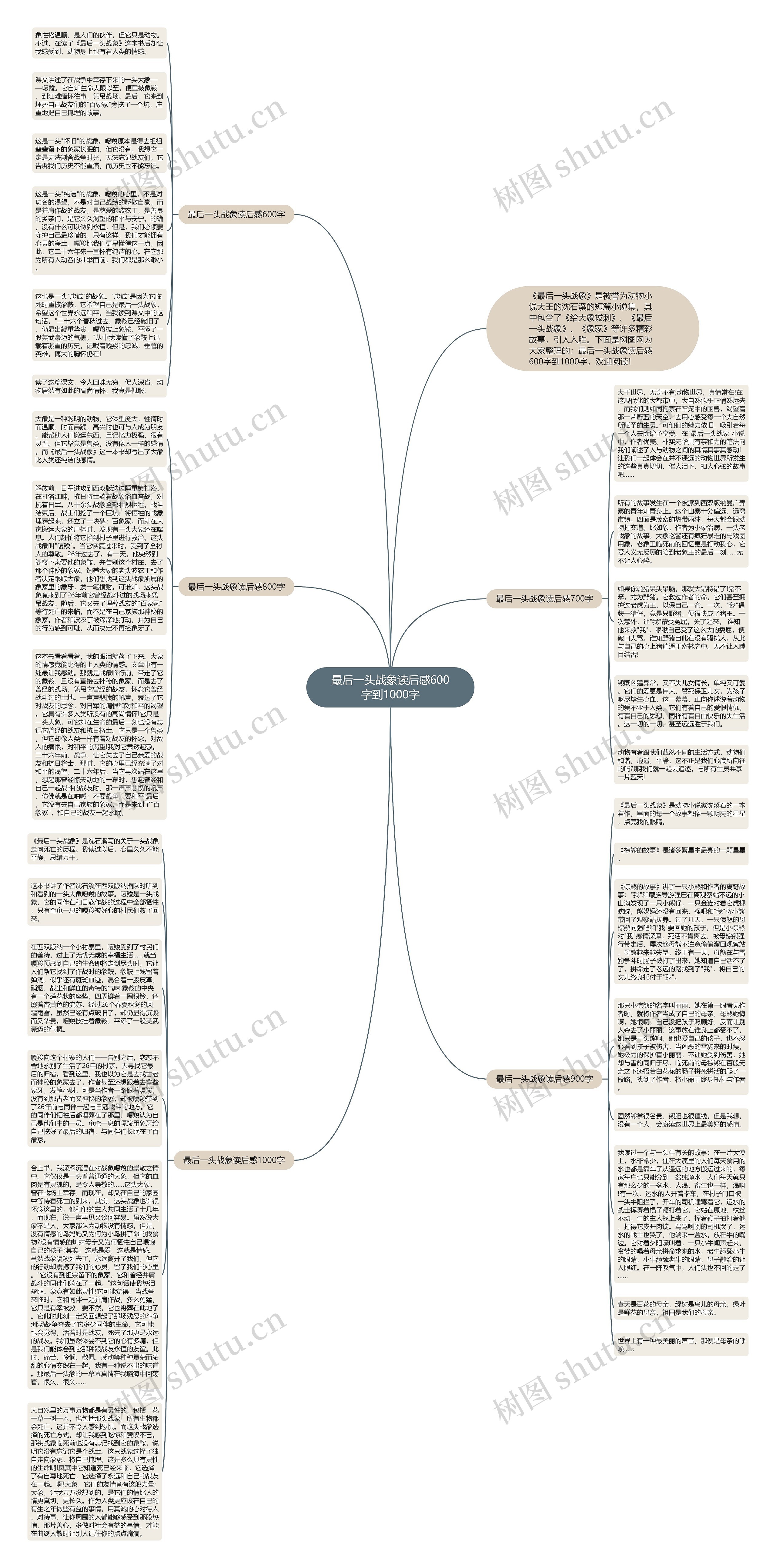 最后一头战象读后感600字到1000字思维导图高清图 最后一头战象读后感600字到1000字思维导图