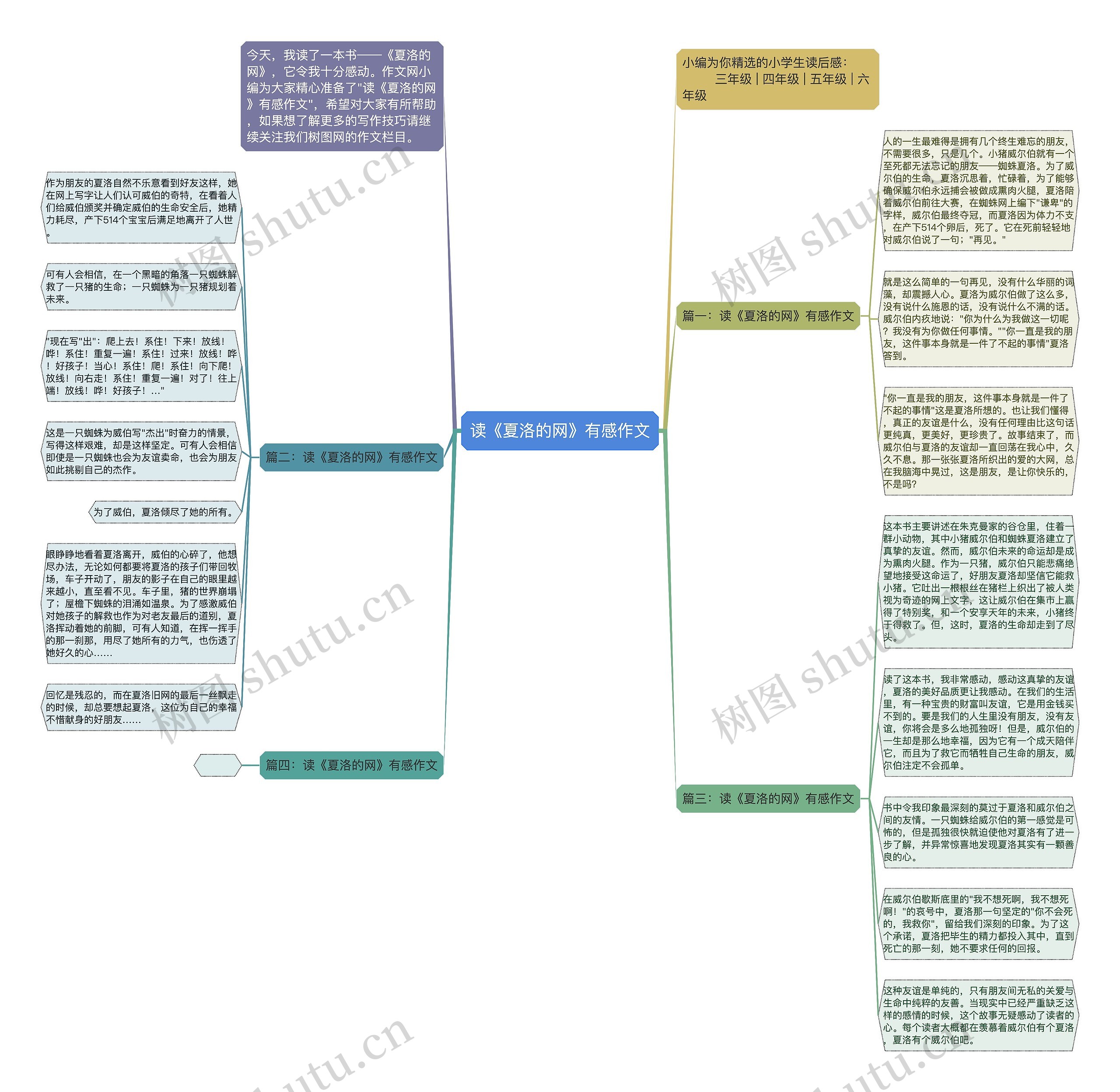 读《夏洛的网》有感作文思维导图